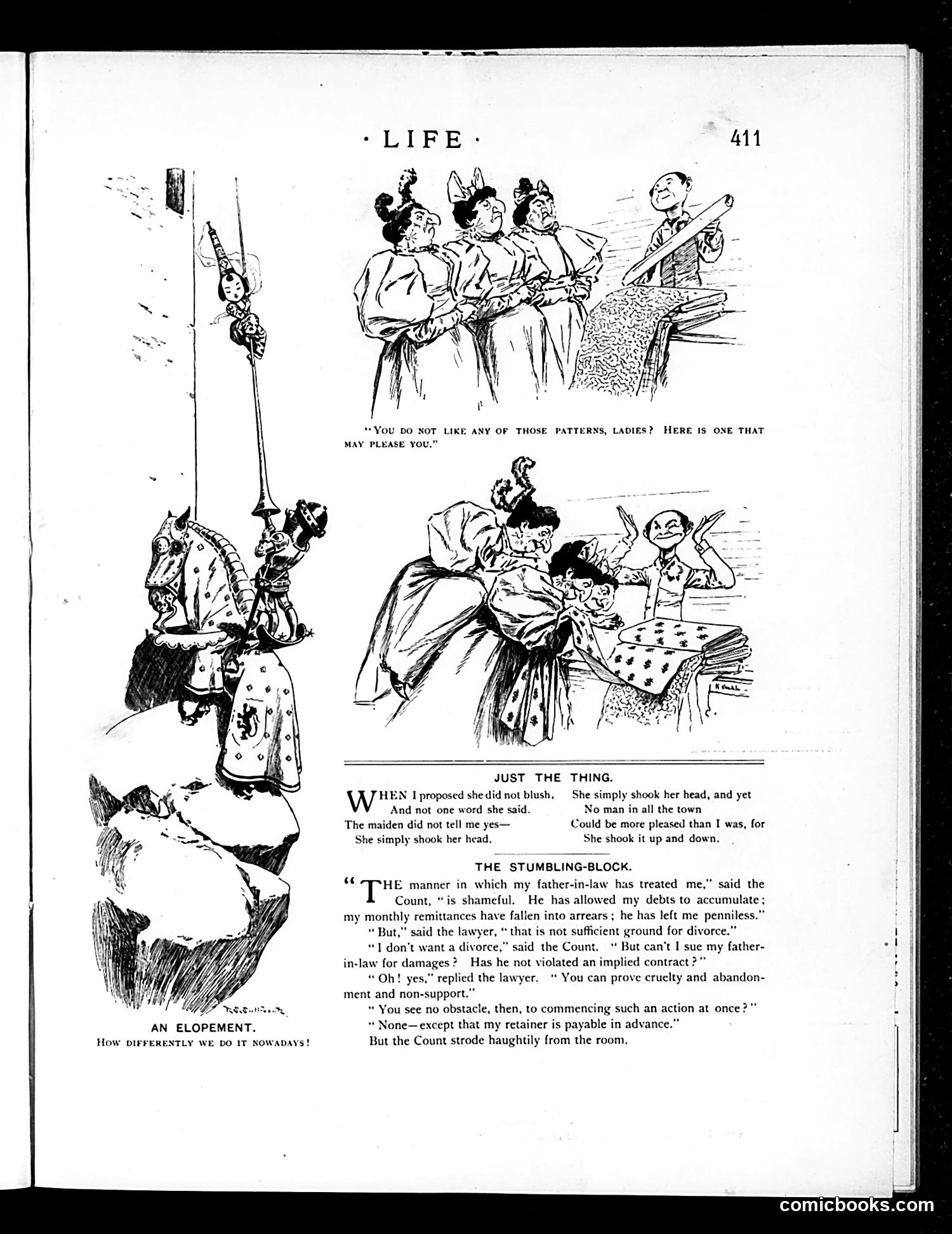 Life — June 20, 1895 — page 13 of 16