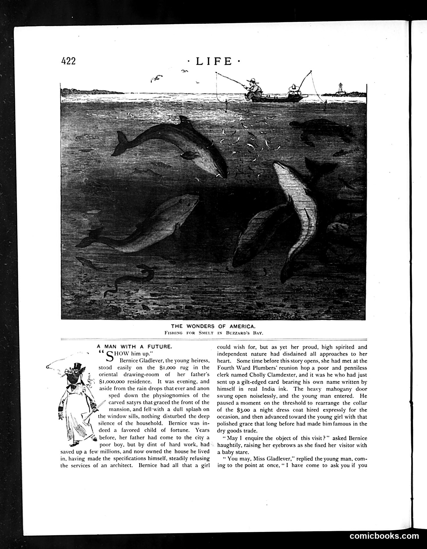 Life — June 27, 1895 — page 8 of 21
