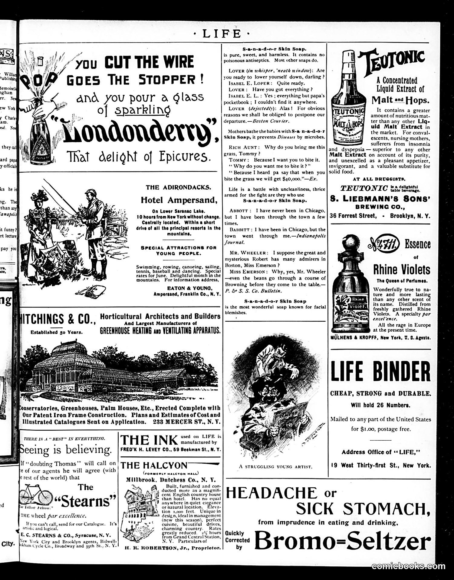 Life — June 27, 1895 — page 15 of 21