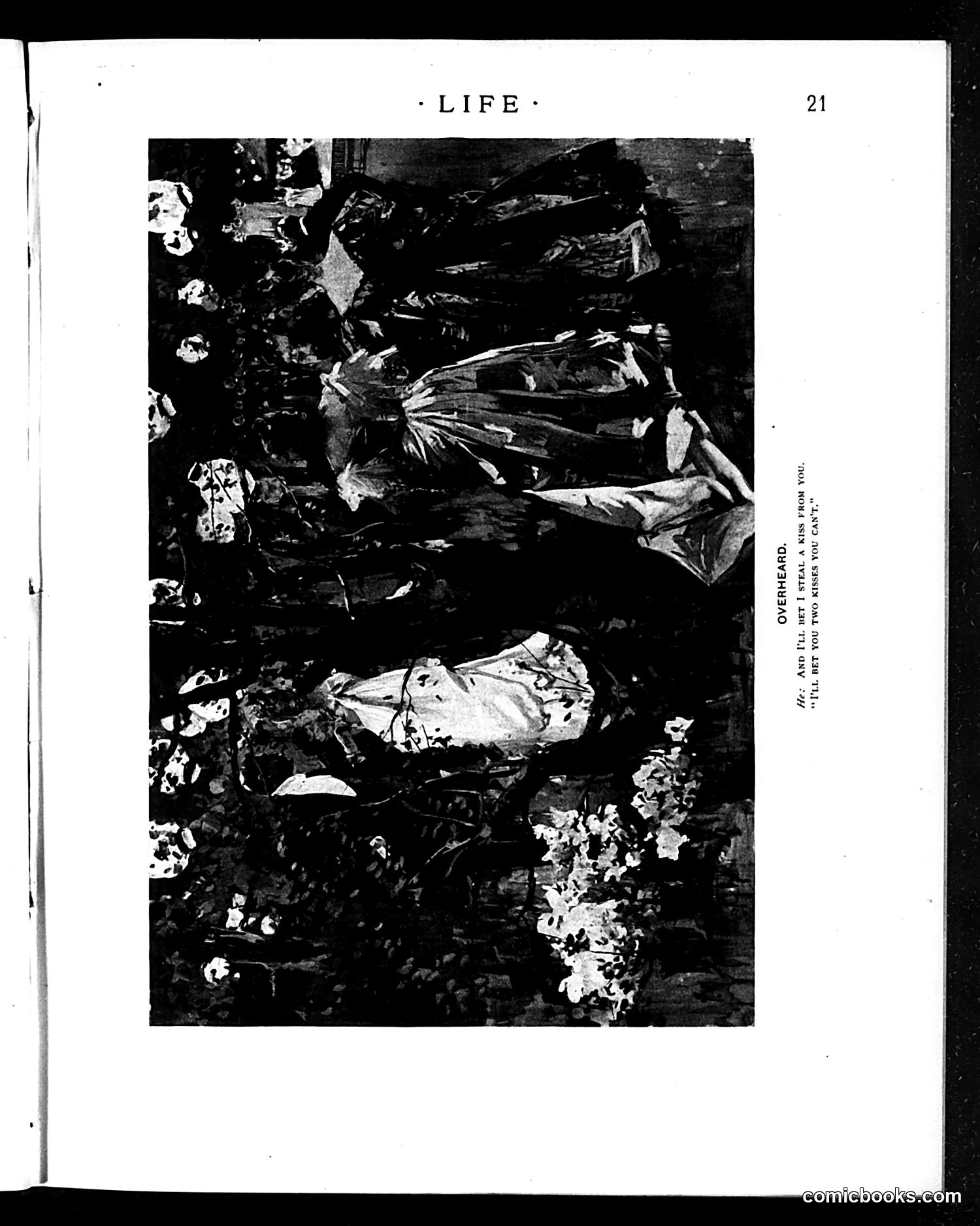 Life — July 11, 1895 — page 5 of 16