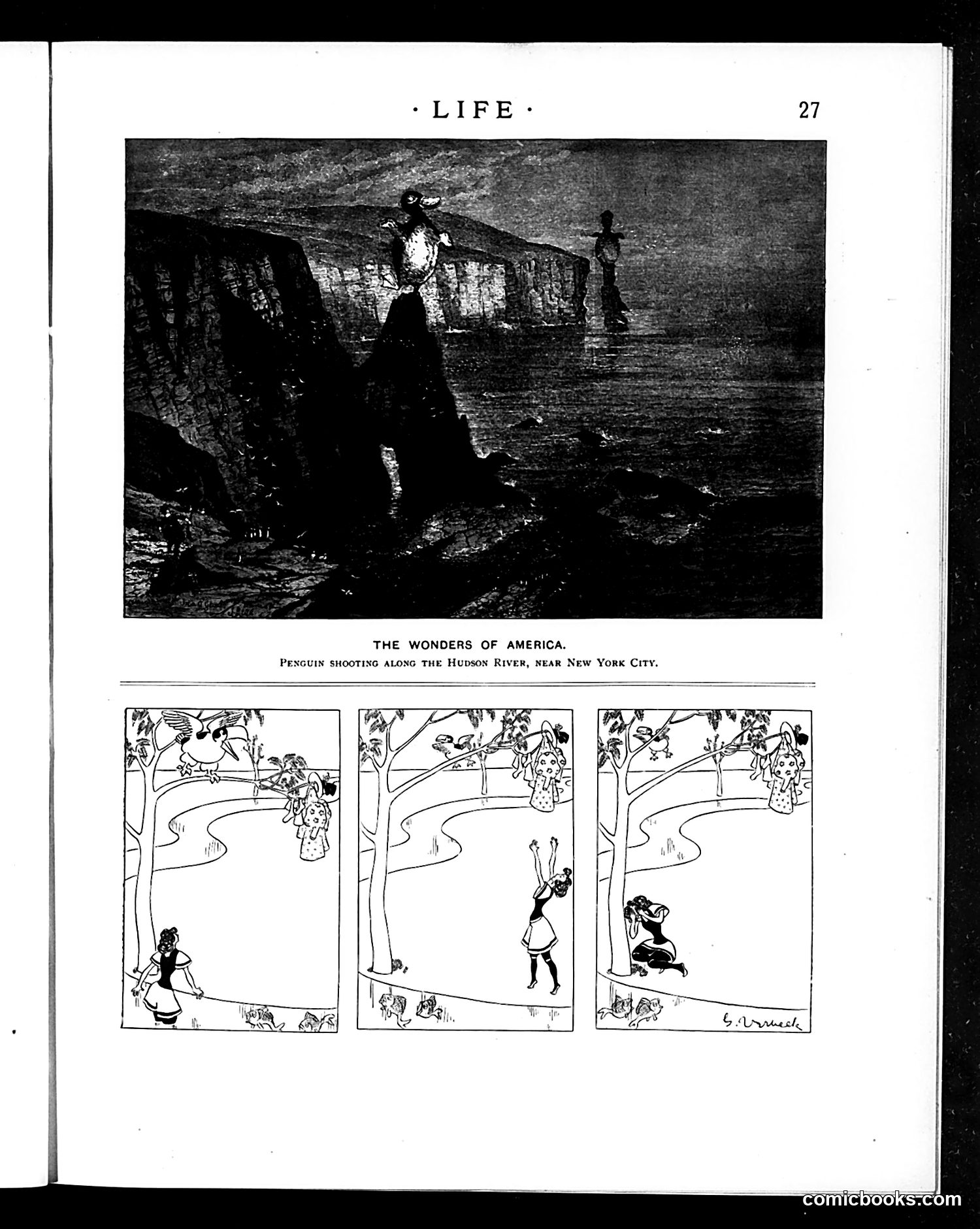 Life — July 11, 1895 — page 11 of 16