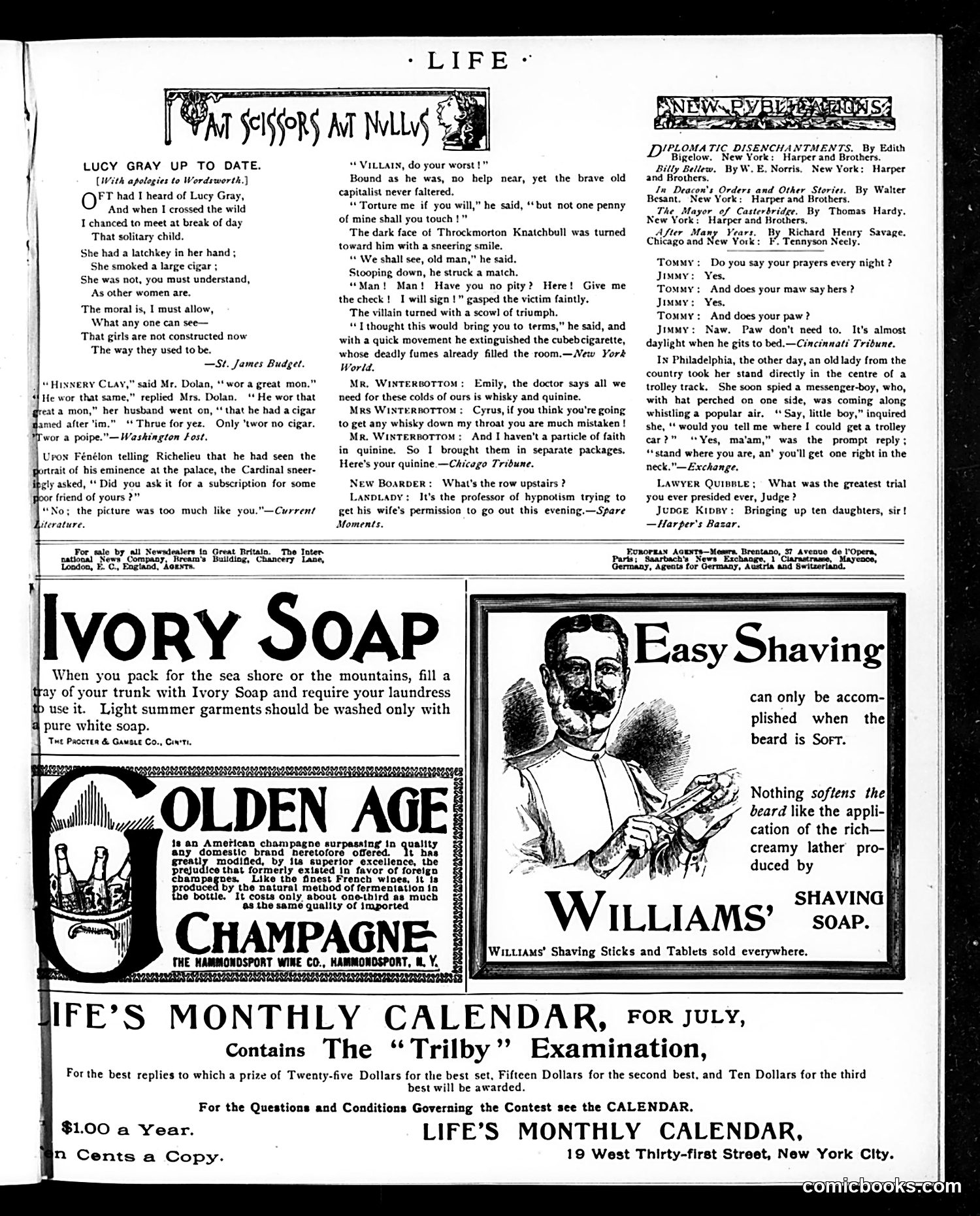 Life — July 11, 1895 — page 13 of 16