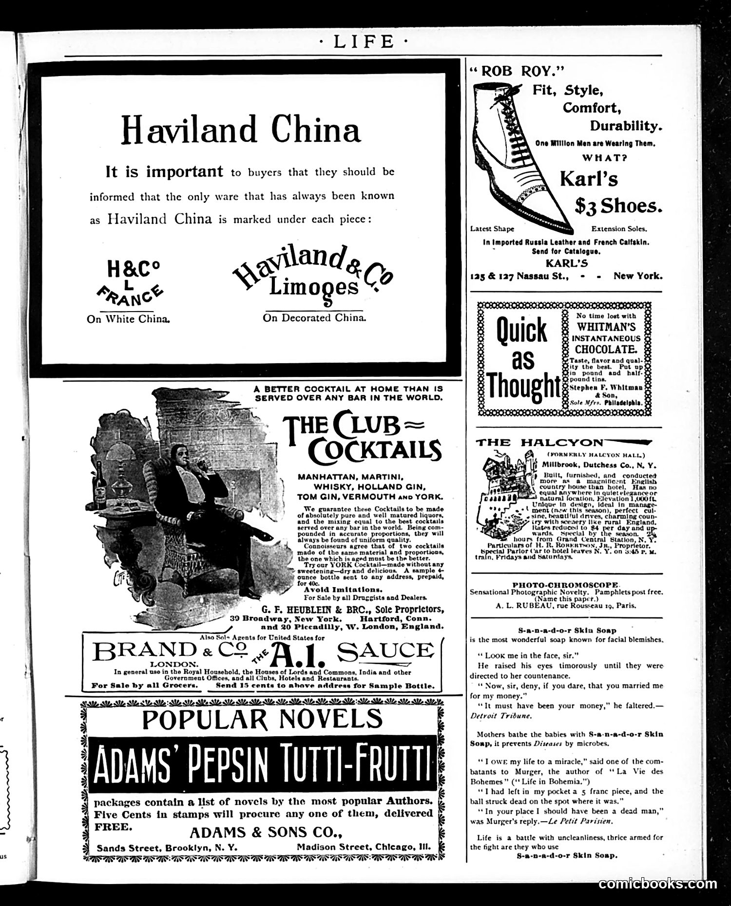 Life — July 11, 1895 — page 15 of 16