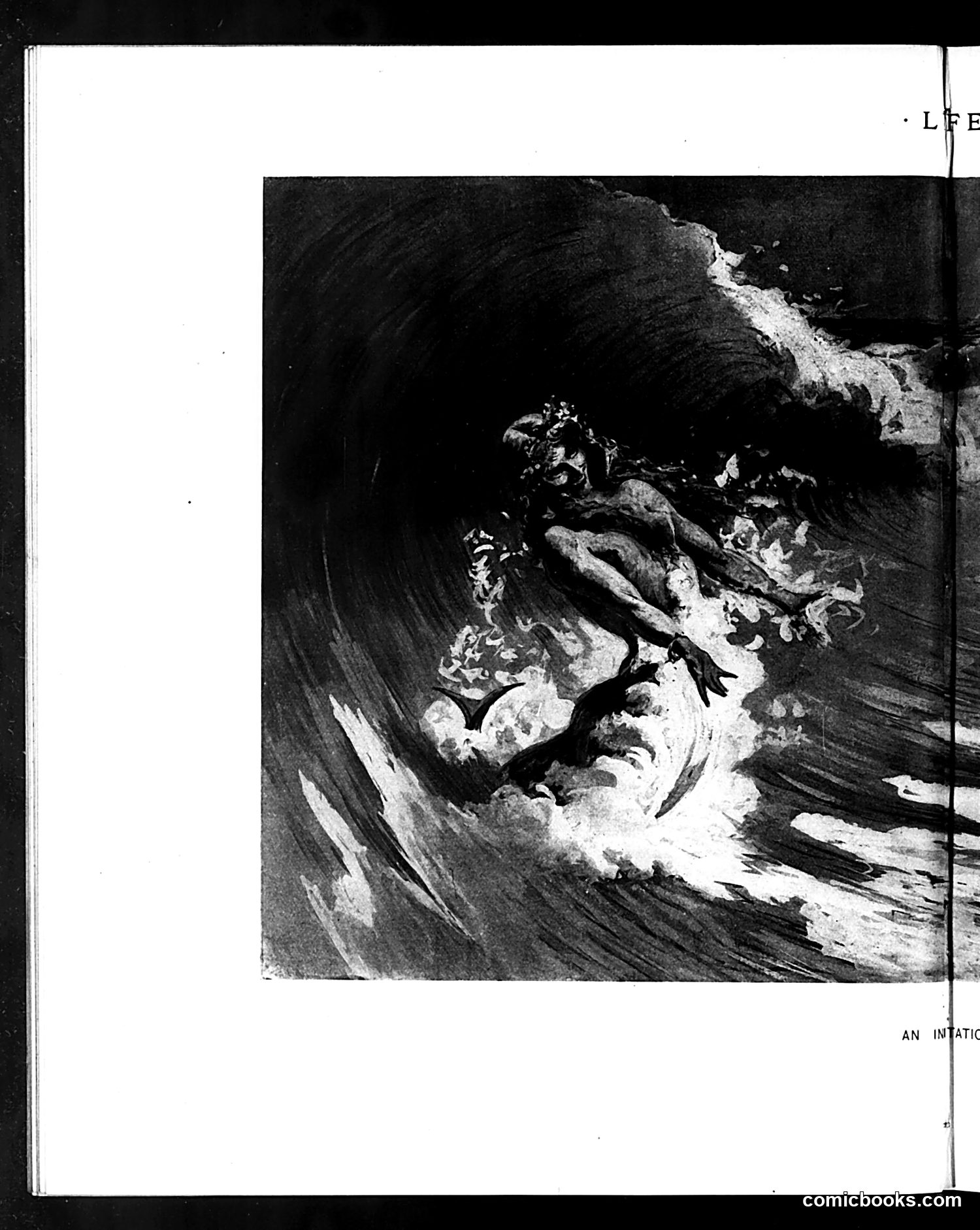 Life — July 18, 1895 — page 8 of 16