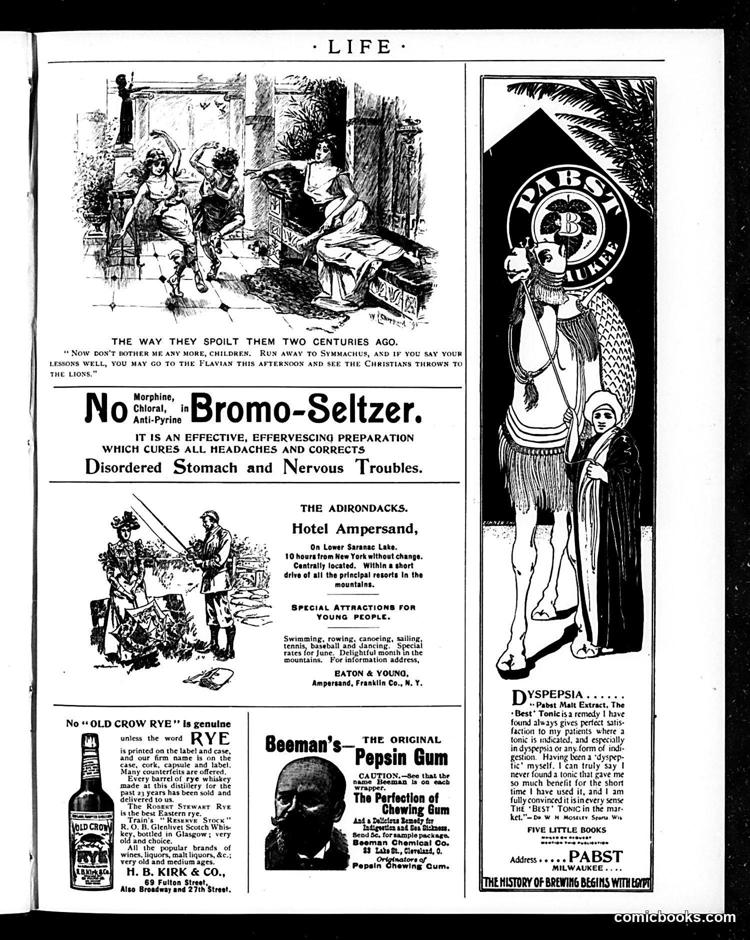 Life — July 18, 1895 — page 15 of 16