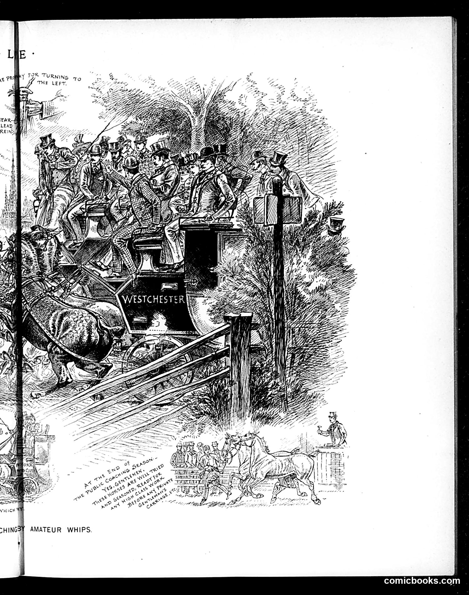 Life — August 1, 1895 — page 9 of 14