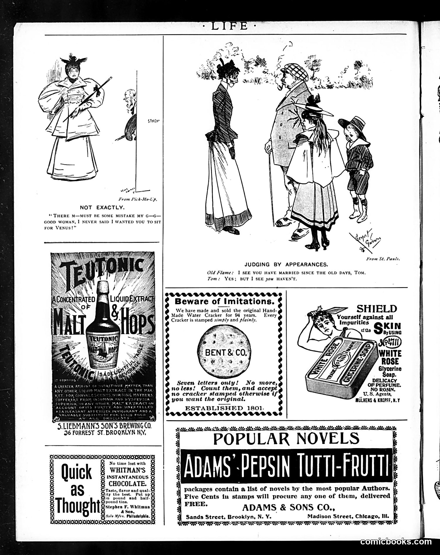 Life — August 8, 1895 — page 14 of 14