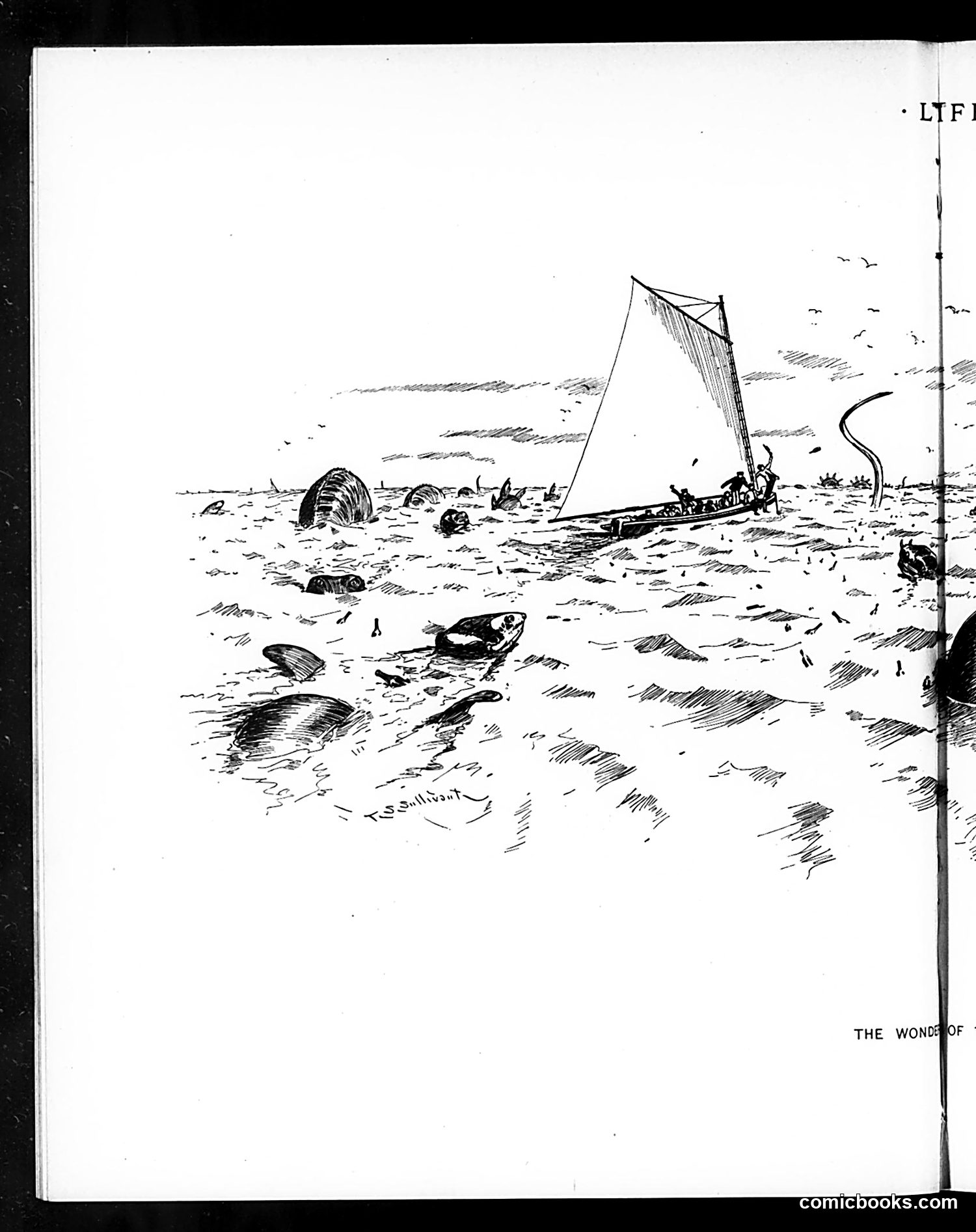 Life — August 15, 1895 — page 8 of 14