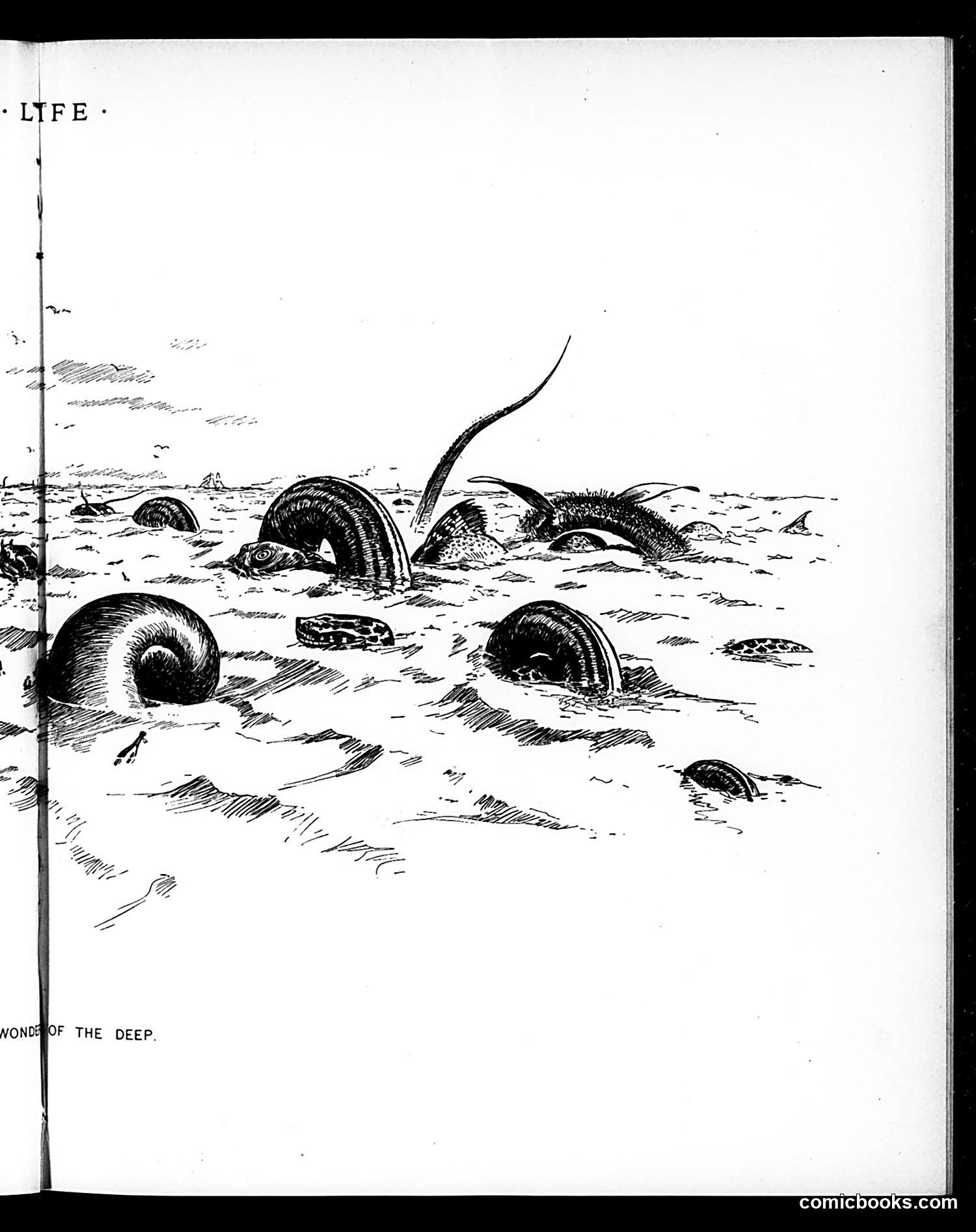 Life — August 15, 1895 — page 9 of 14