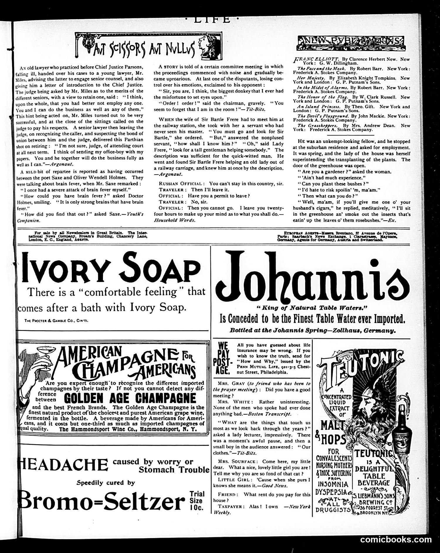 Life — August 15, 1895 — page 13 of 14