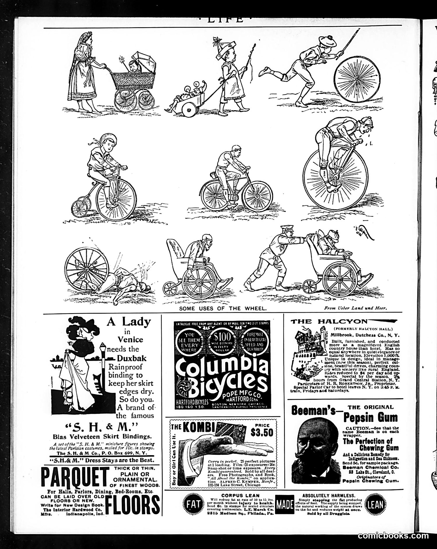 Life — August 15, 1895 — page 14 of 14