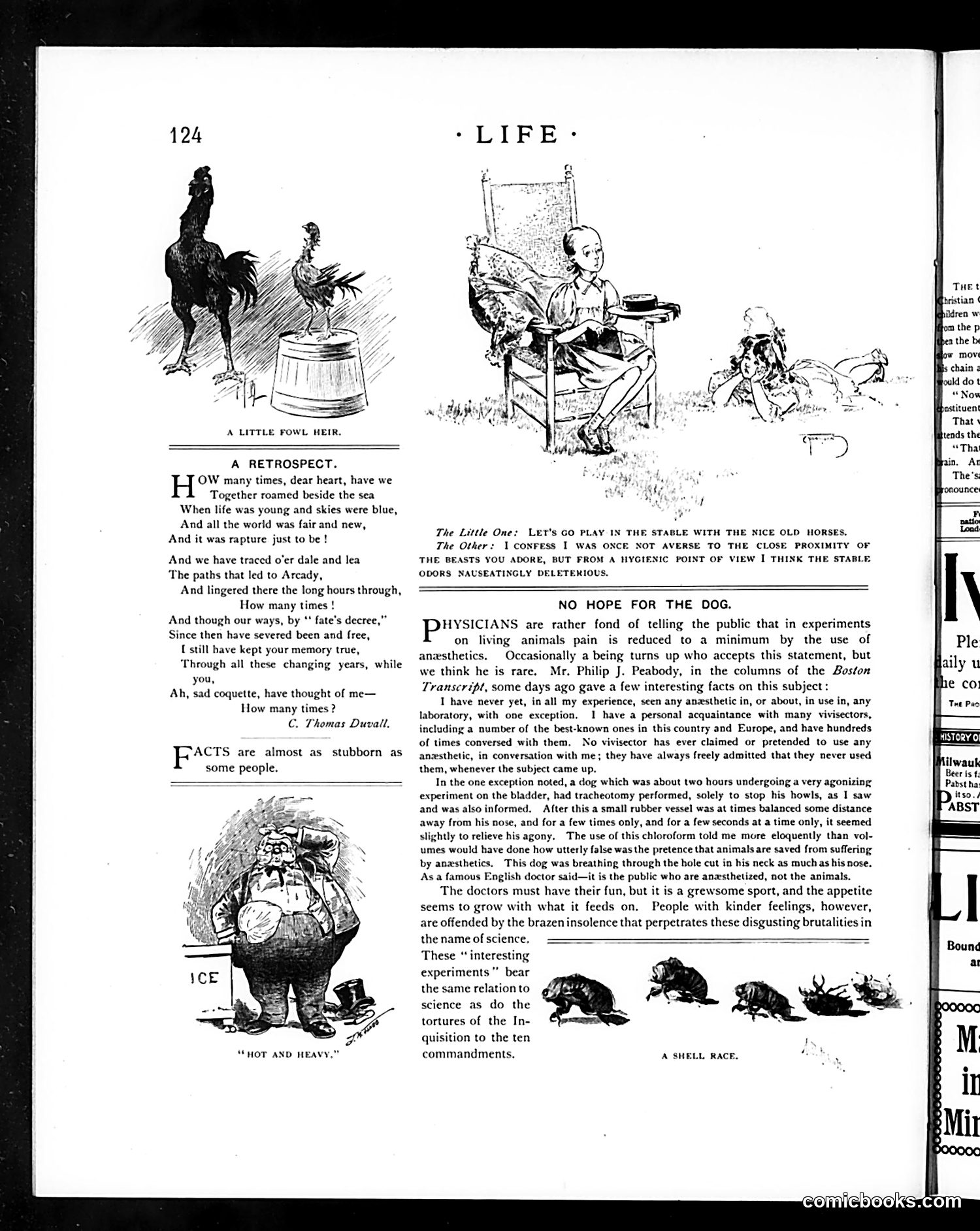 Life — August 22, 1895 — page 12 of 16