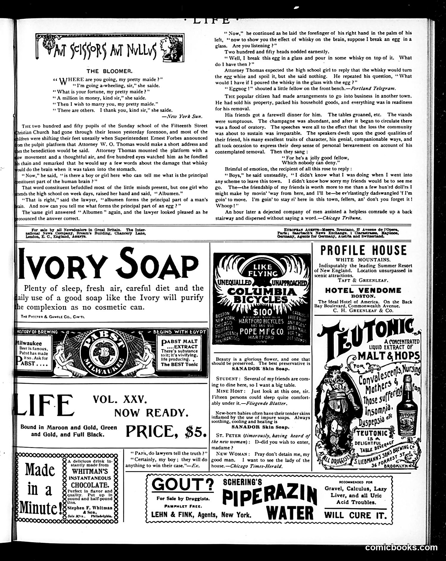 Life — August 22, 1895 — page 13 of 16