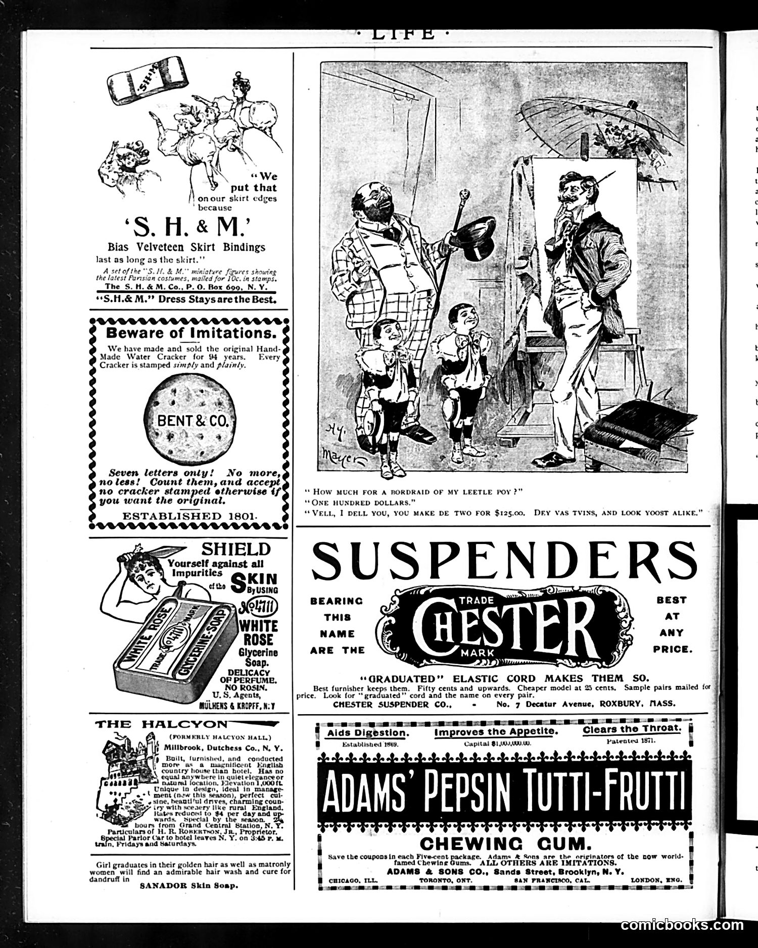 Life — August 22, 1895 — page 14 of 16