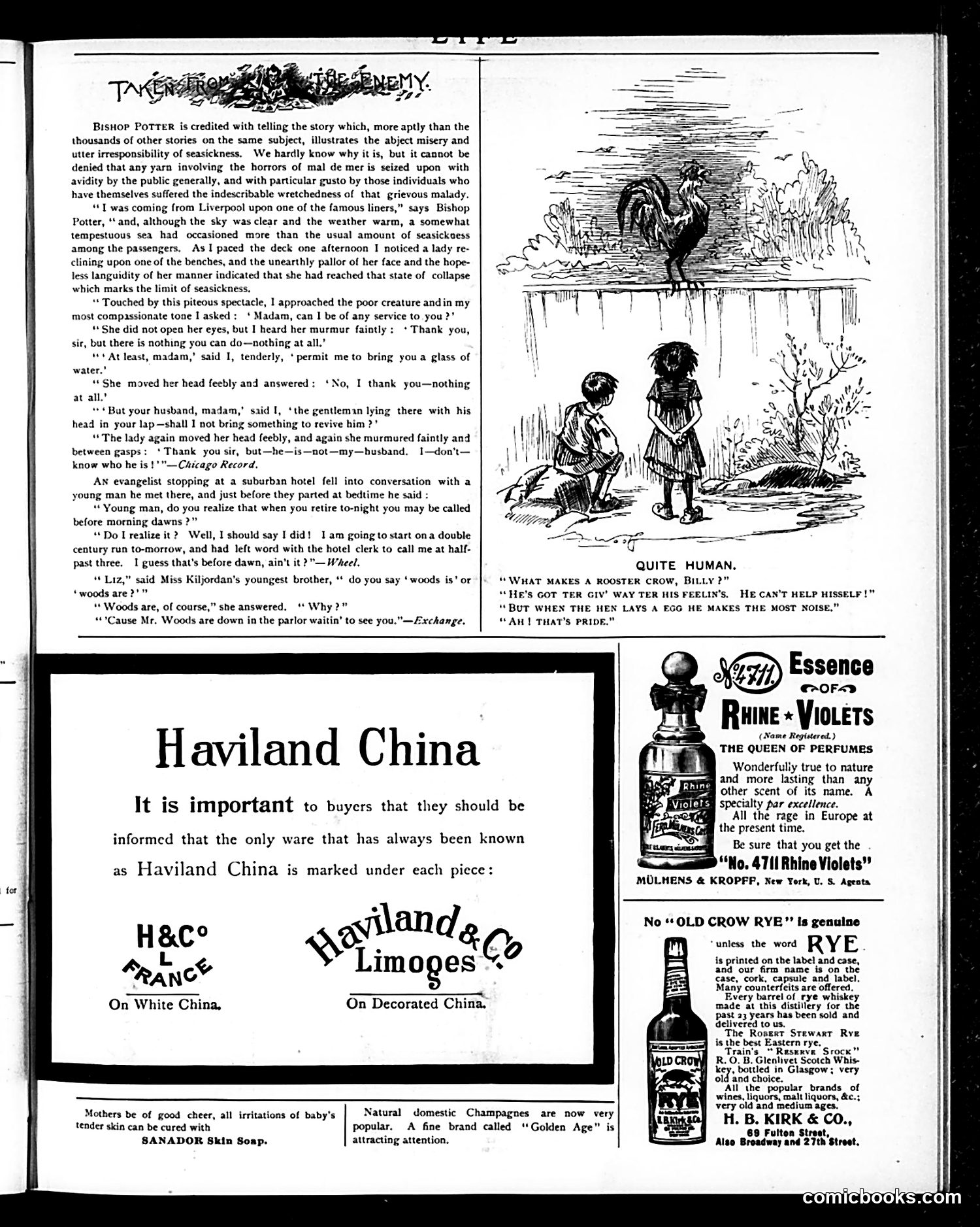 Life — August 22, 1895 — page 15 of 16