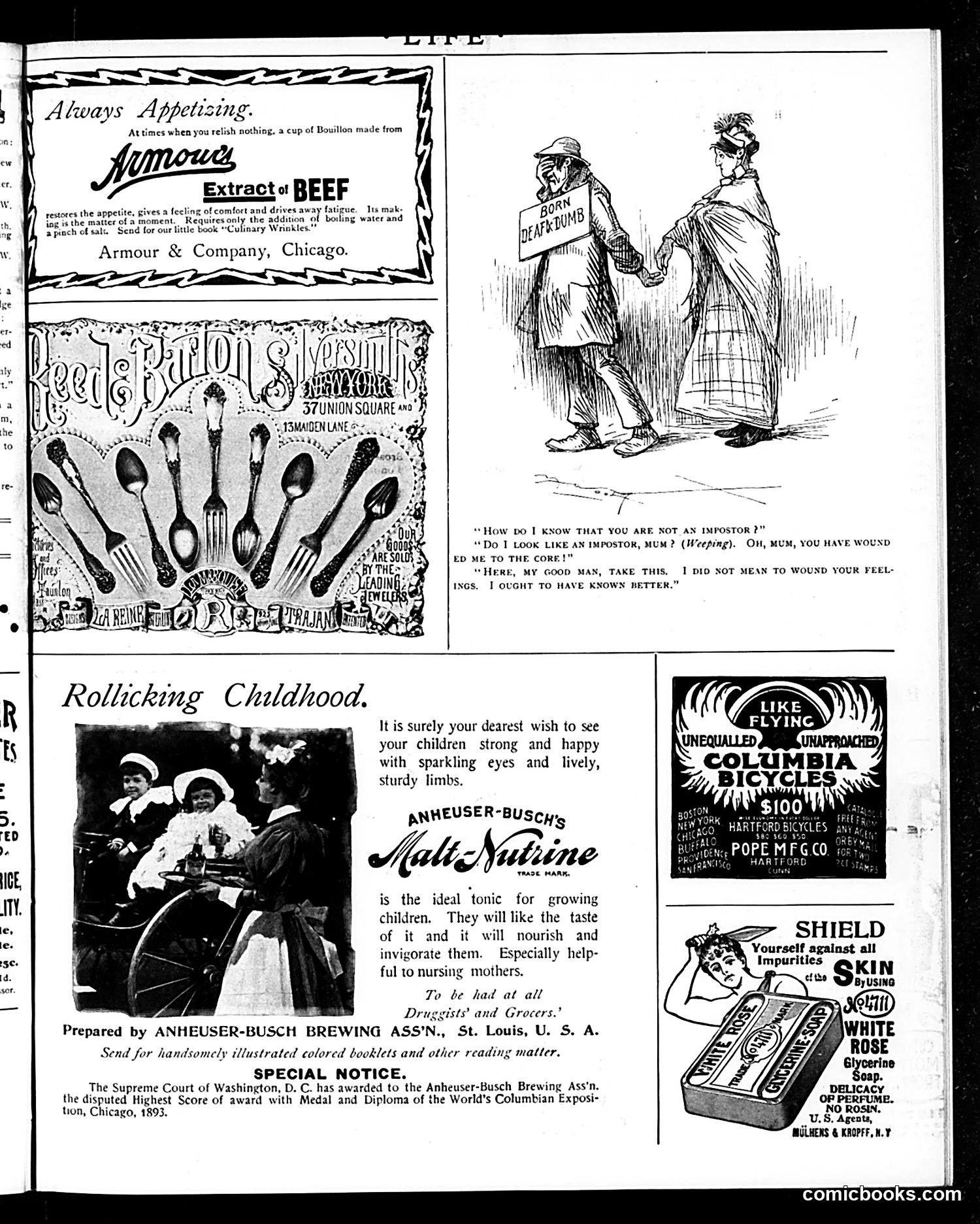 Life — August 29, 1895 — page 15 of 16