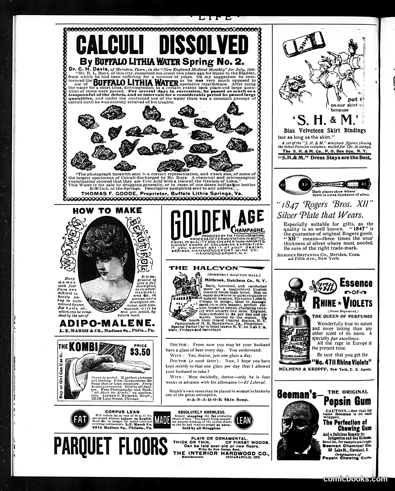 Life — August 29, 1895 — page 16 of 16