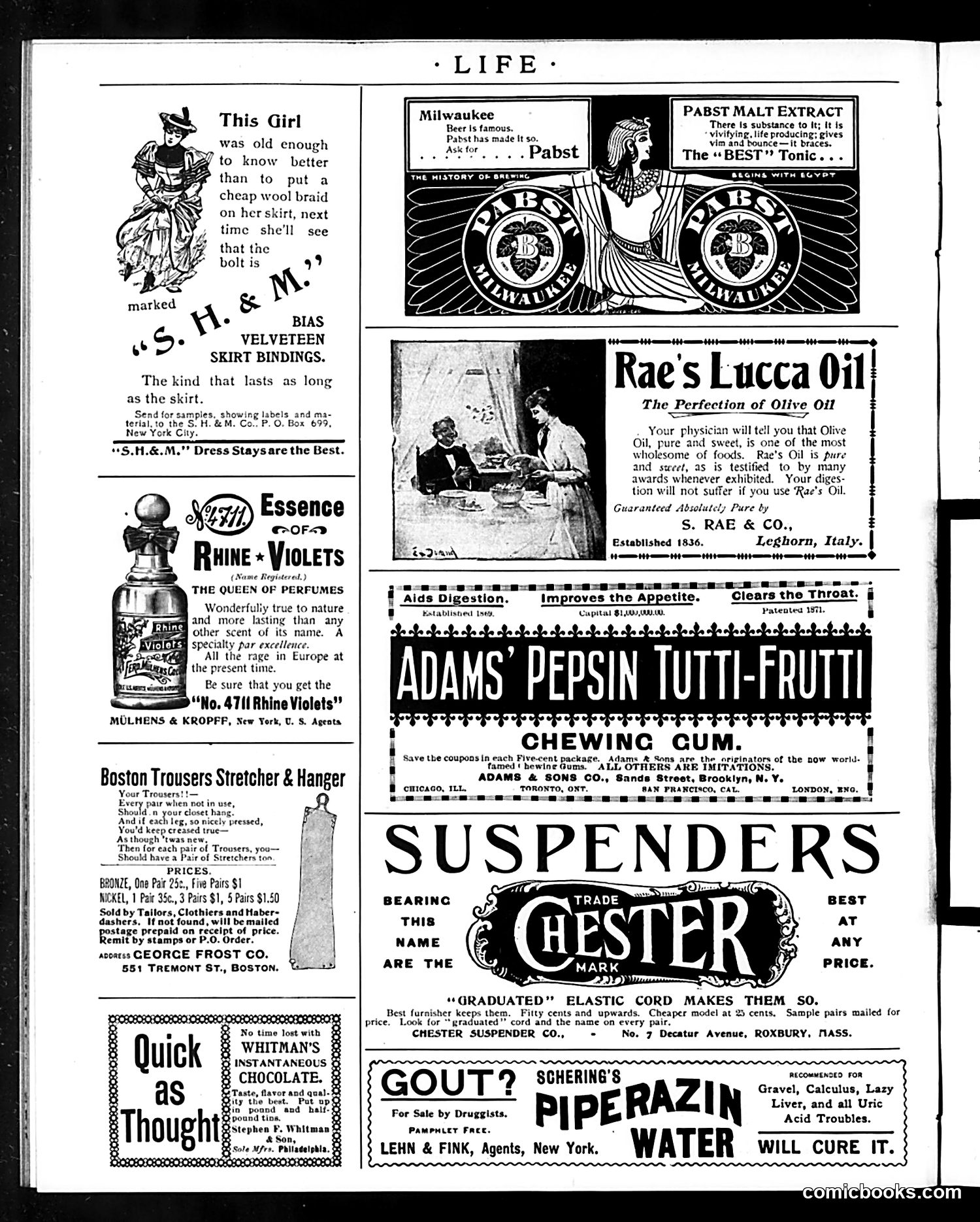 Life — September 5, 1895 — page 14 of 16