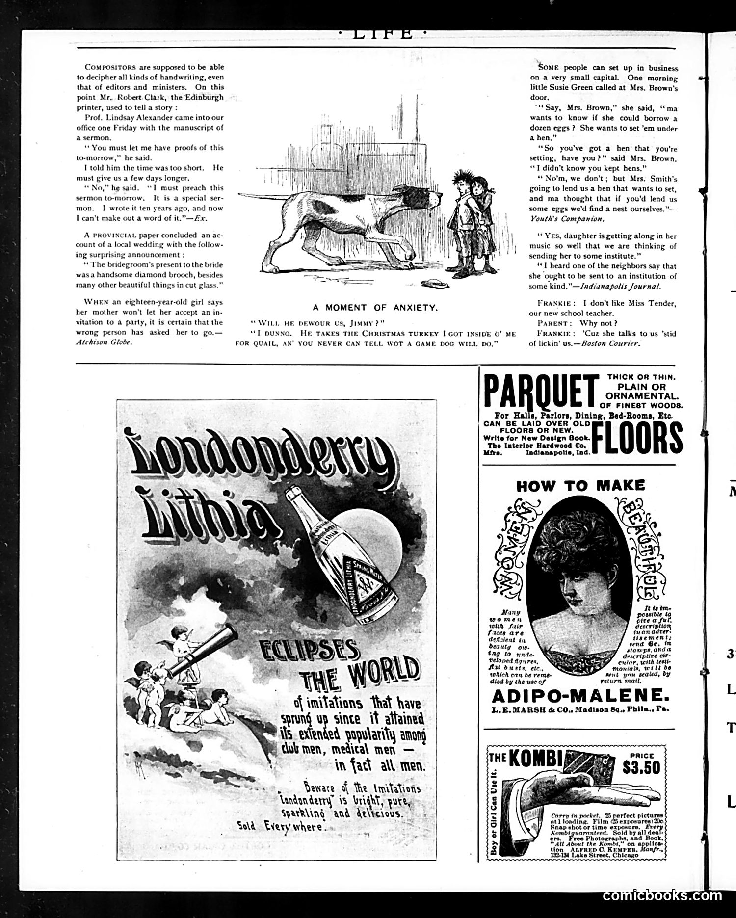 Life — September 12, 1895 — page 14 of 16