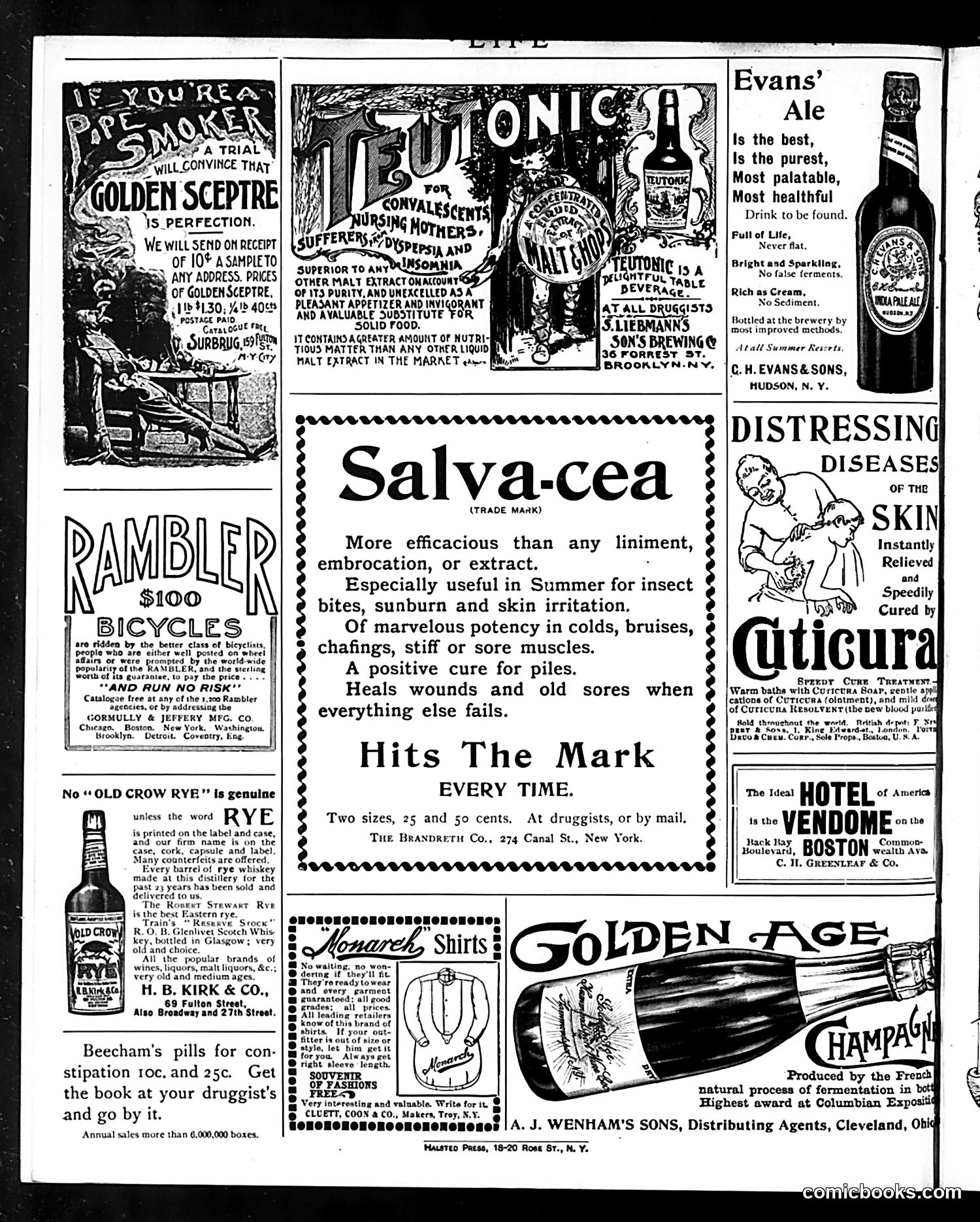 Life — September 12, 1895 — page 16 of 16