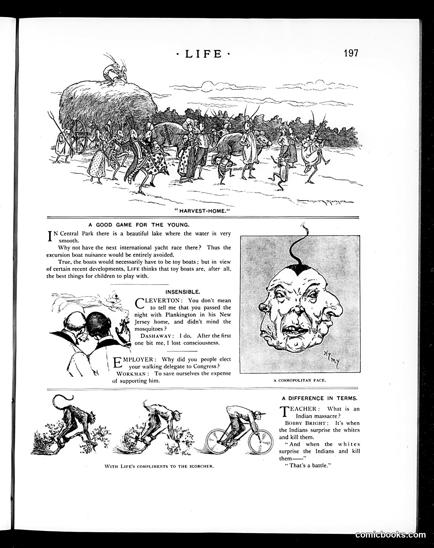 Life — September 26, 1895 — page 5 of 16