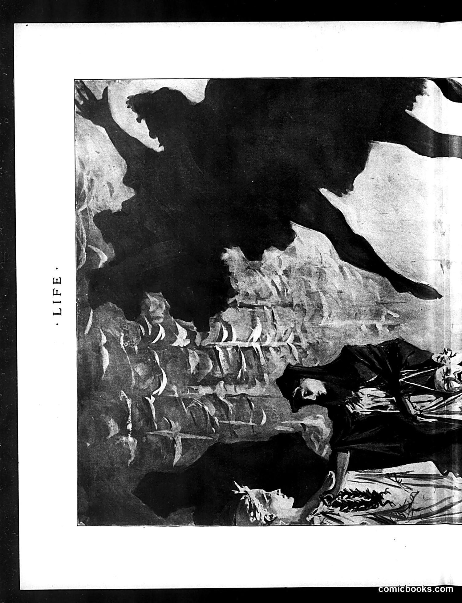 Life — October 3, 1895 — page 14 of 26