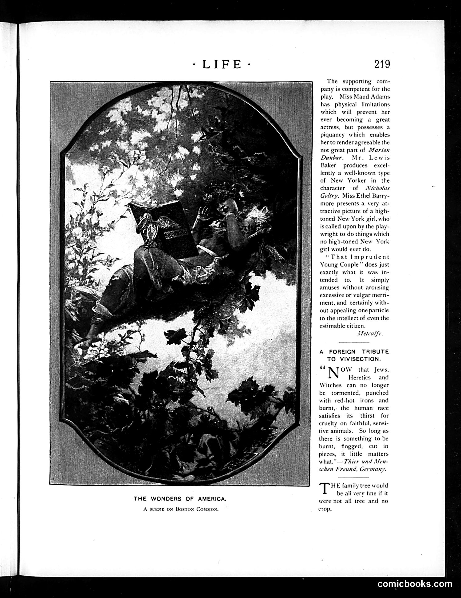 Life — October 3, 1895 — page 17 of 26