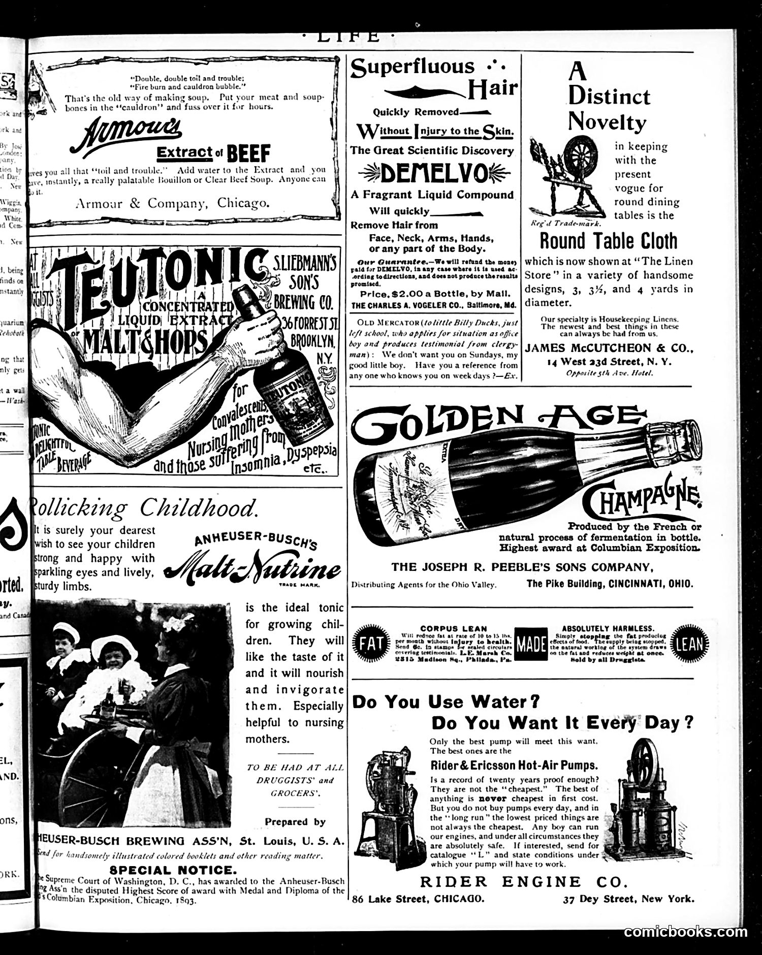 Life — October 10, 1895 — page 15 of 18