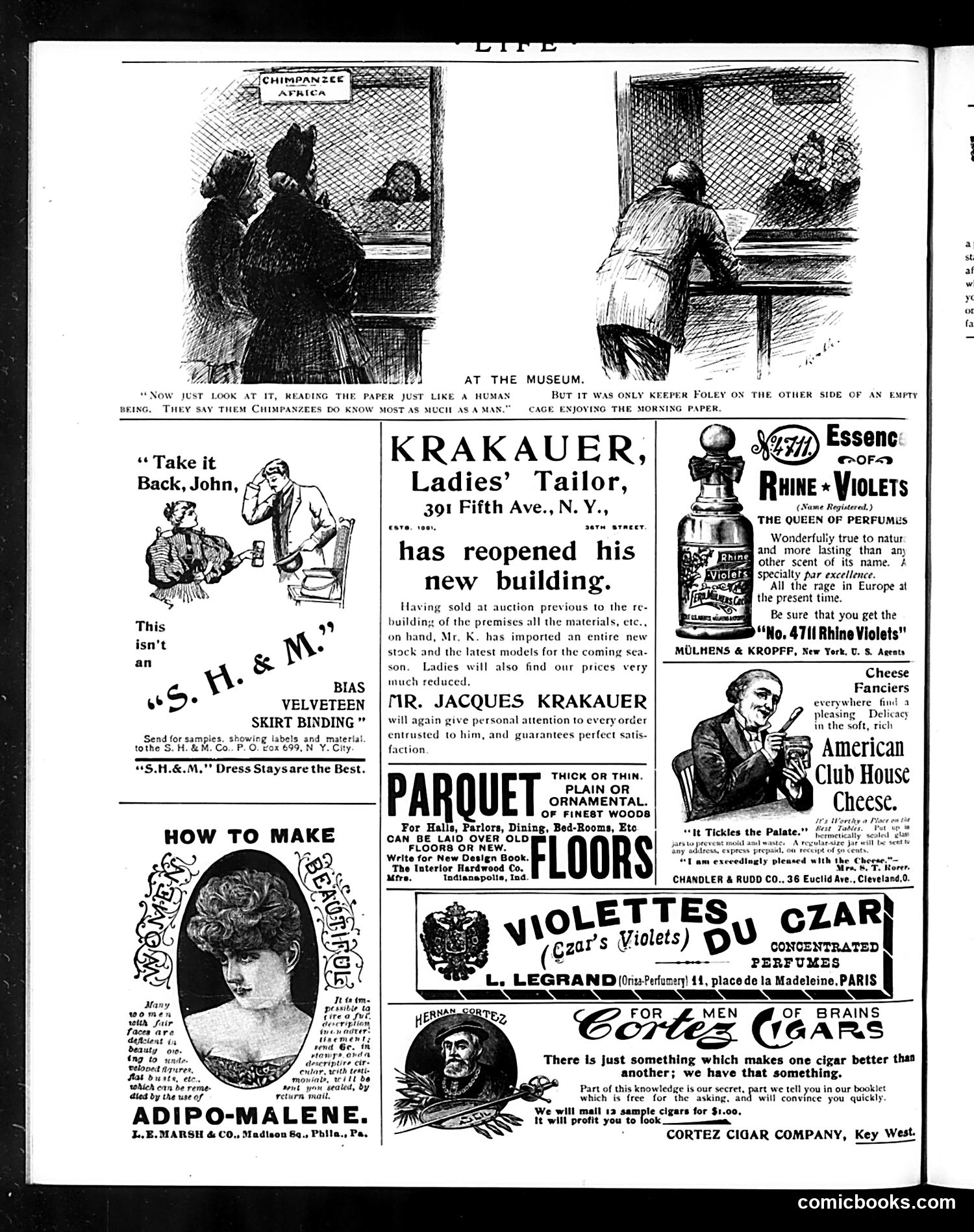 Life — October 10, 1895 — page 16 of 18