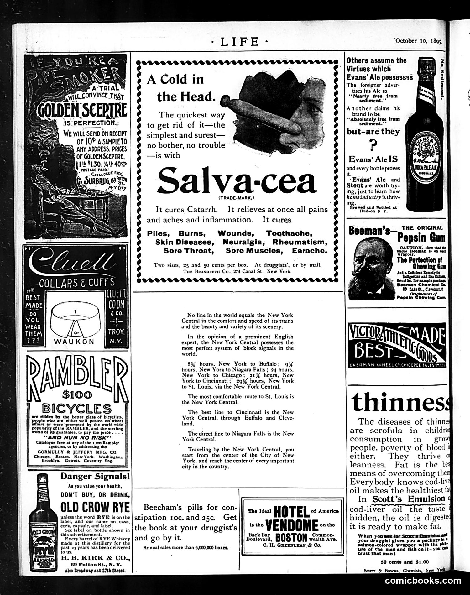 Life — October 10, 1895 — page 18 of 18
