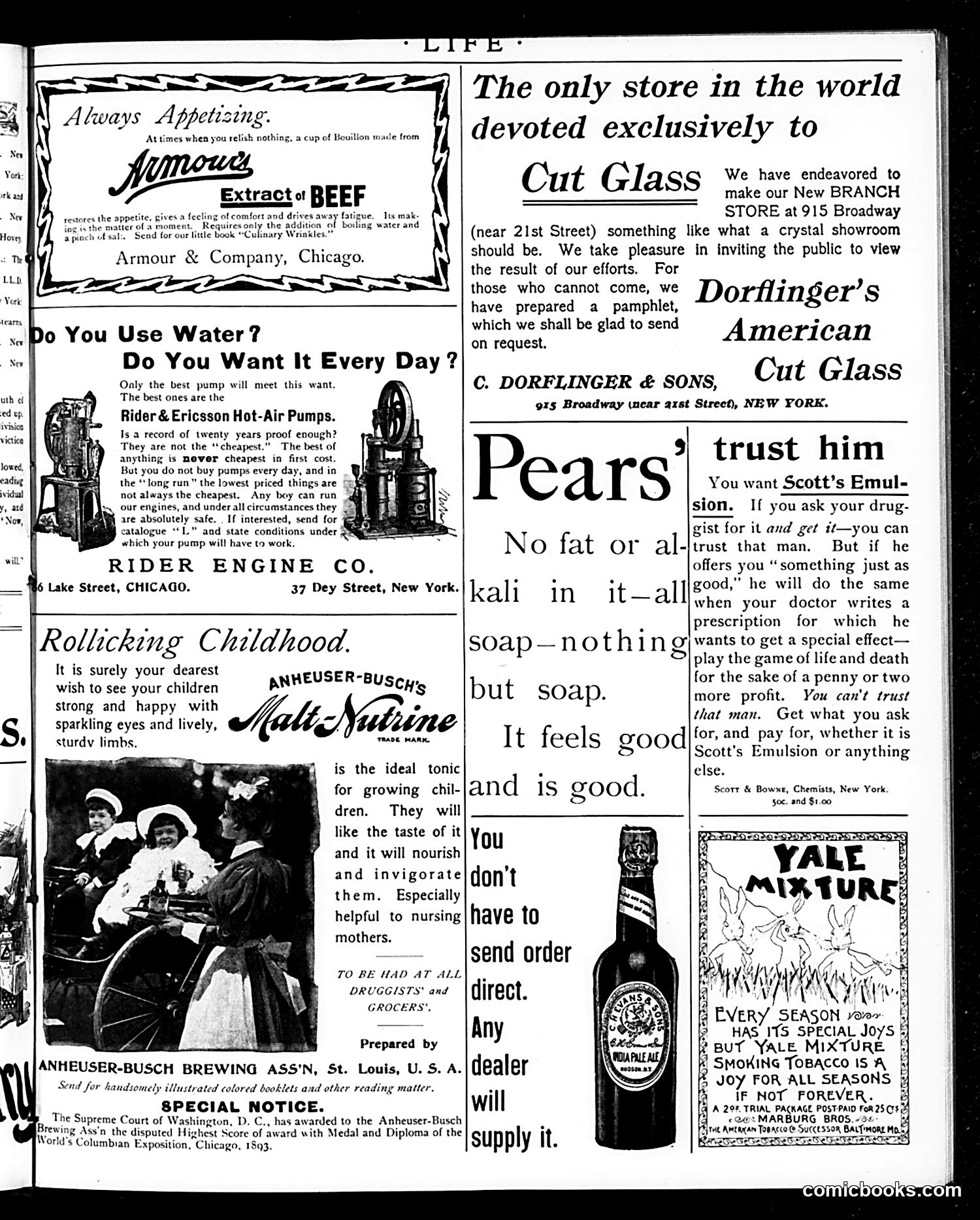 Life — October 17, 1895 — page 15 of 20