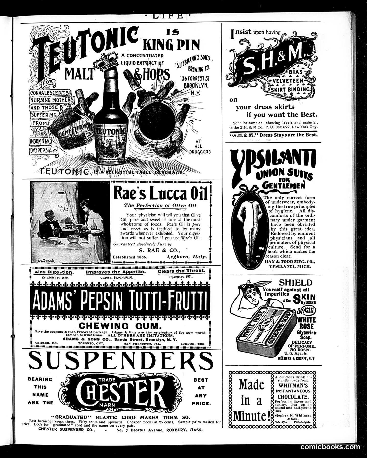 Life — October 17, 1895 — page 17 of 20