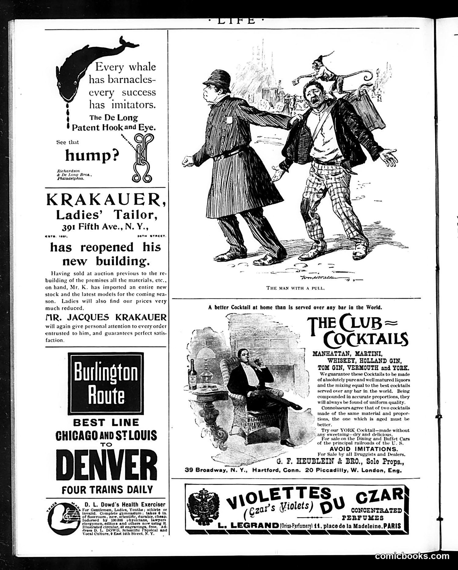 Life — October 17, 1895 — page 18 of 20