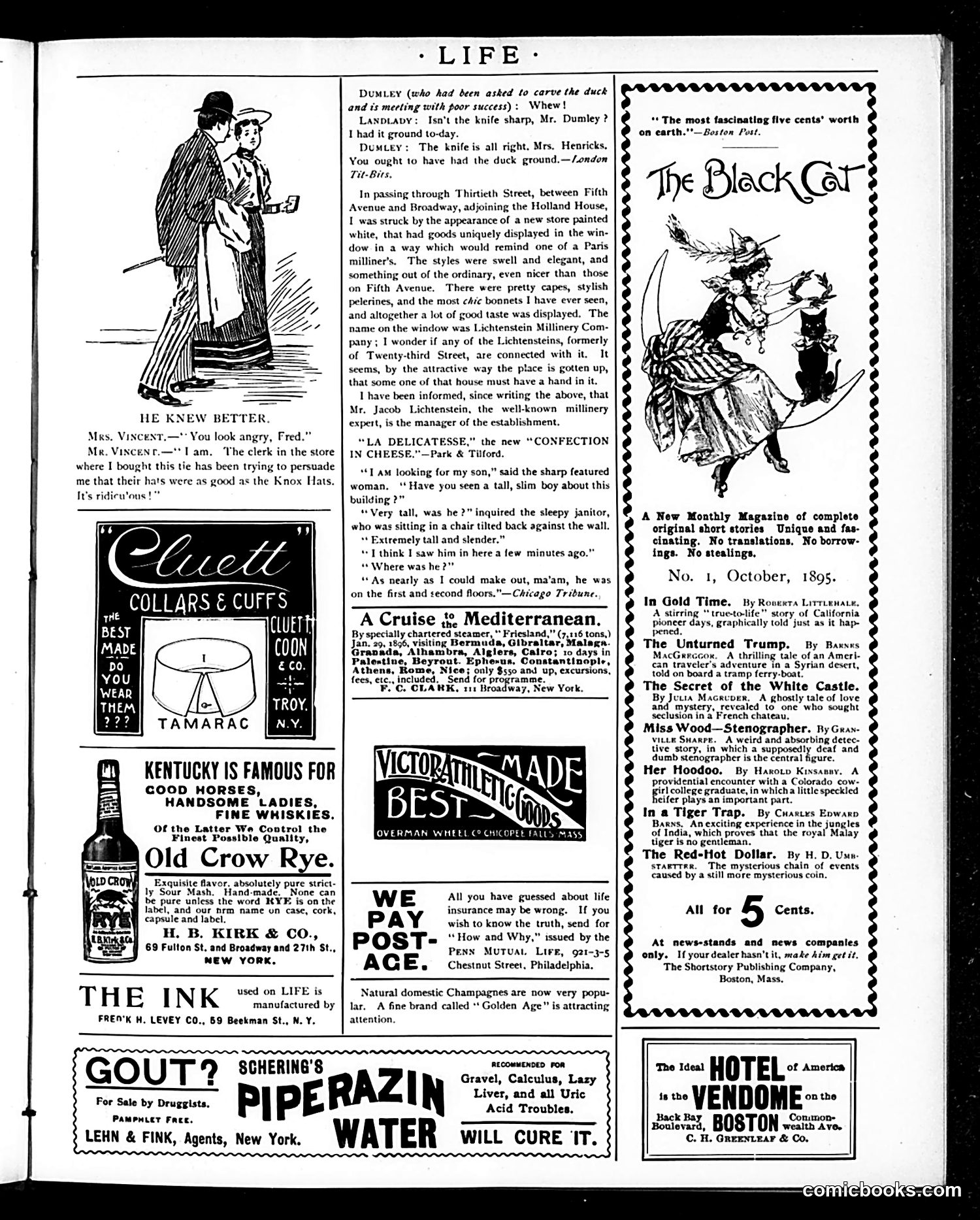 Life — October 17, 1895 — page 19 of 20