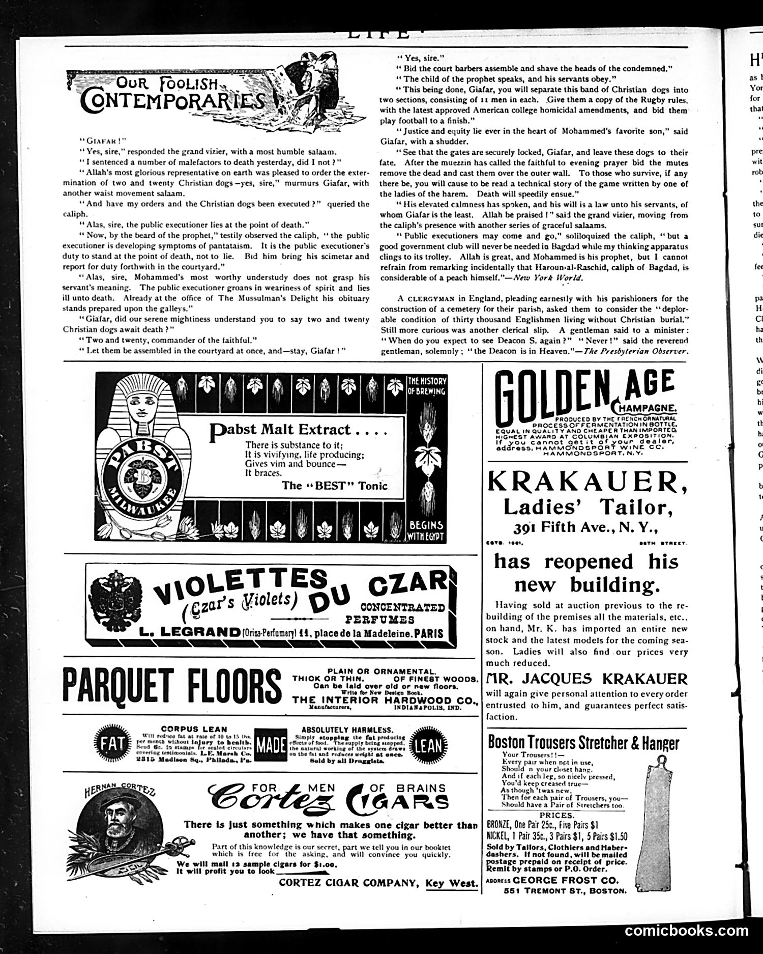 Life — October 24, 1895 — page 16 of 20
