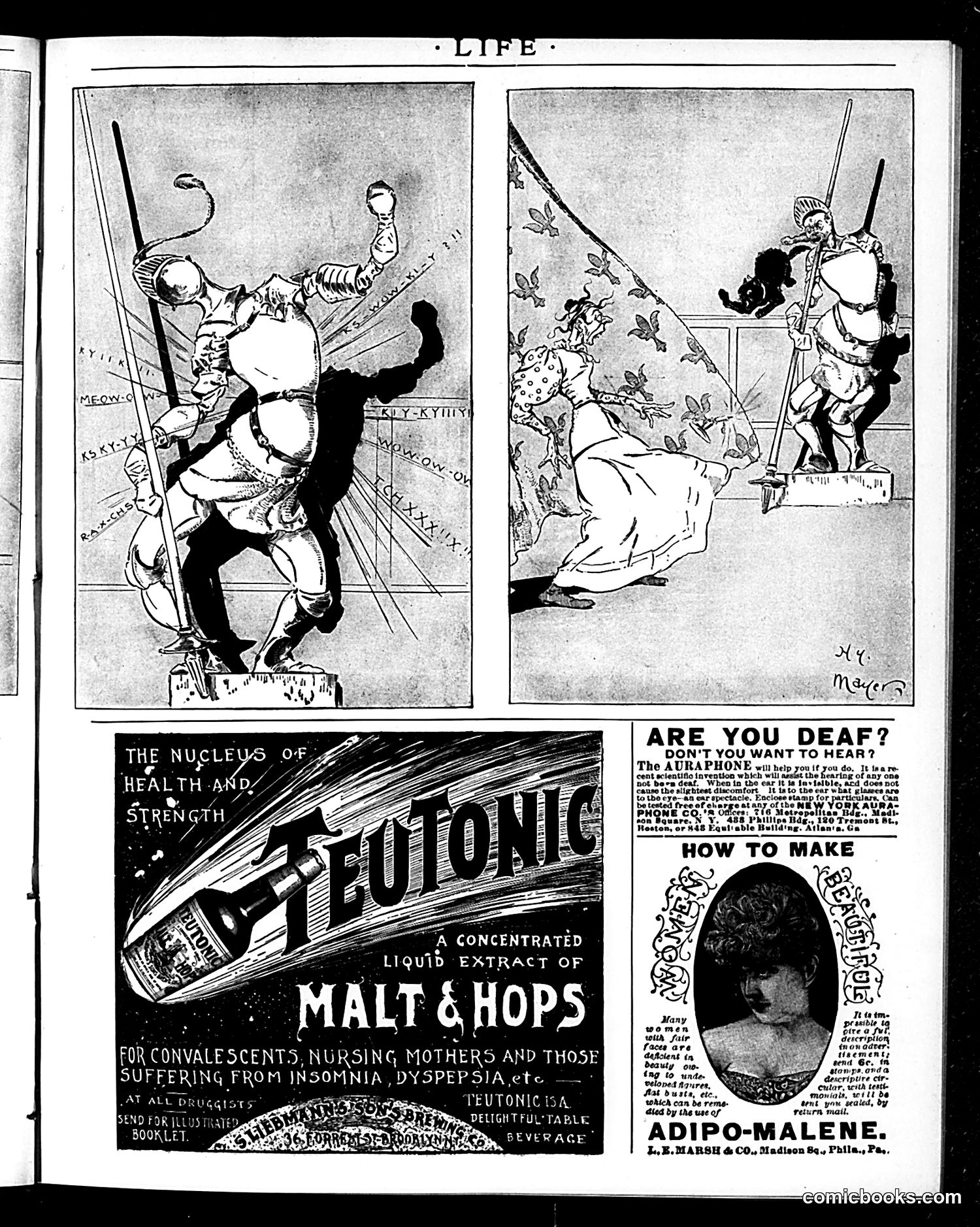 Life — October 24, 1895 — page 19 of 20