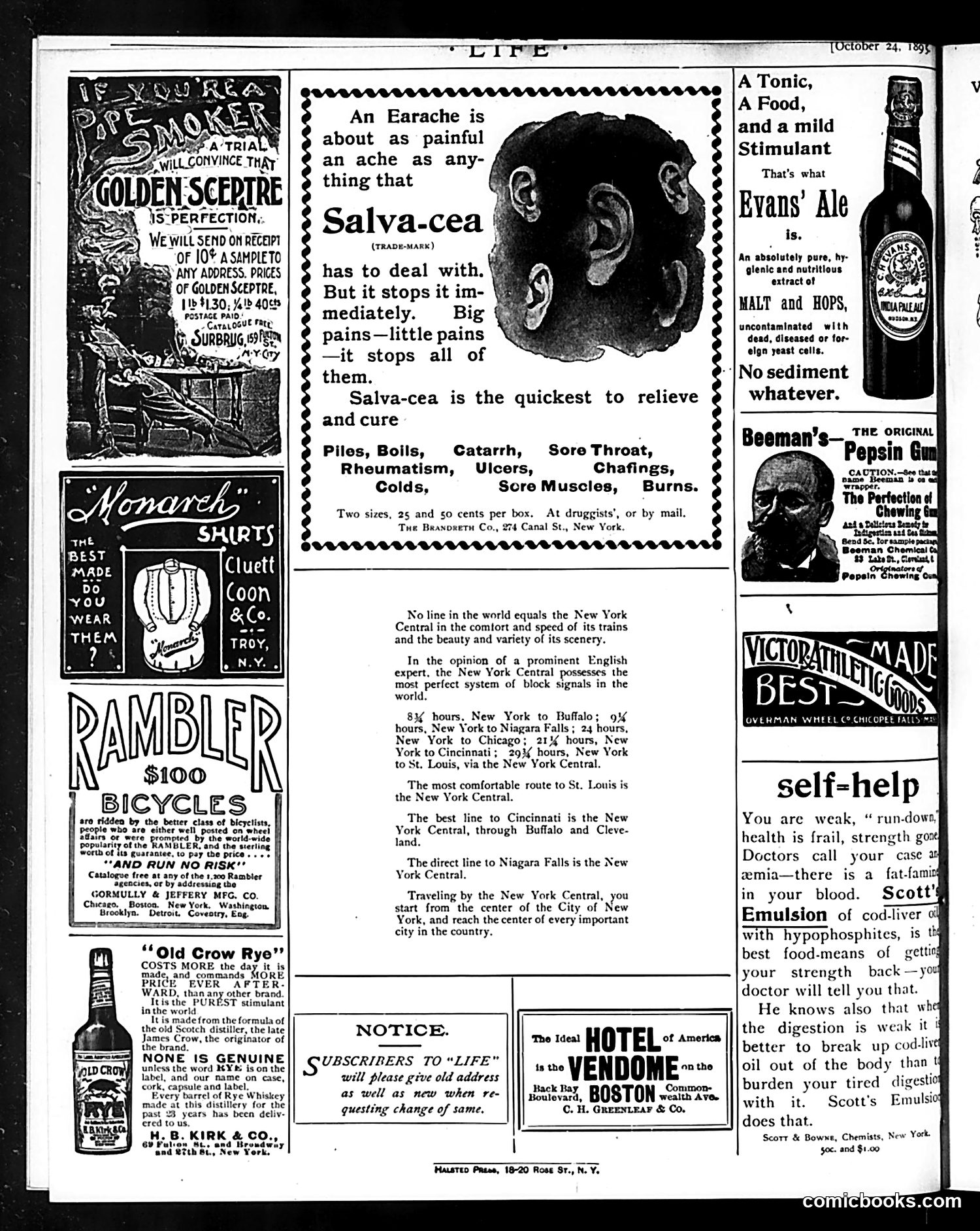 Life — October 24, 1895 — page 20 of 20