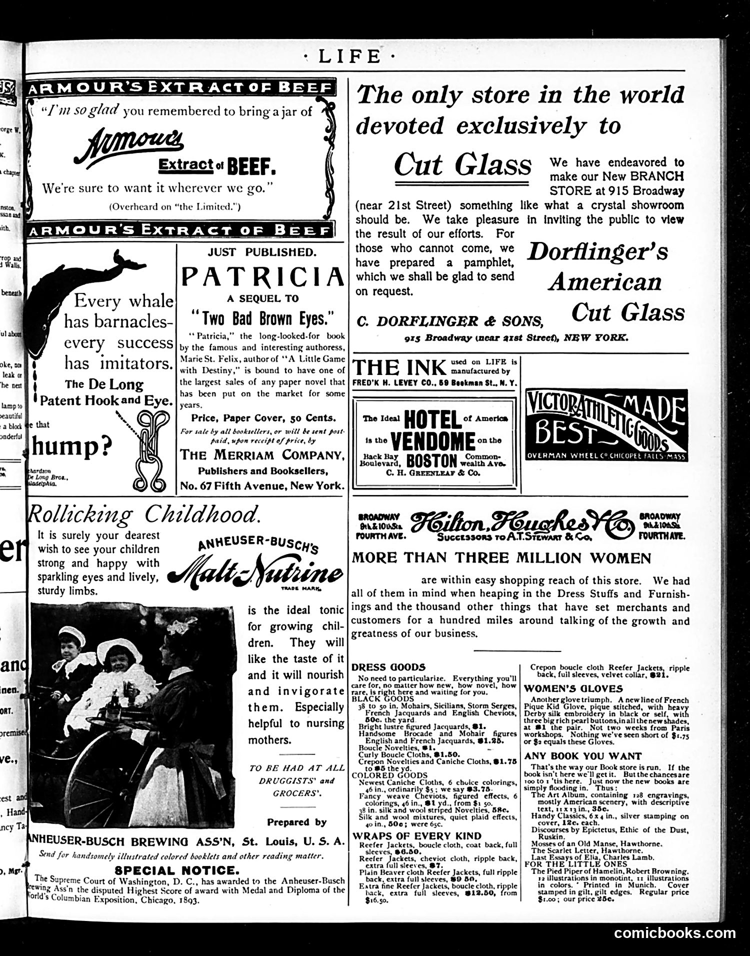 Life — October 31, 1895 — page 15 of 18