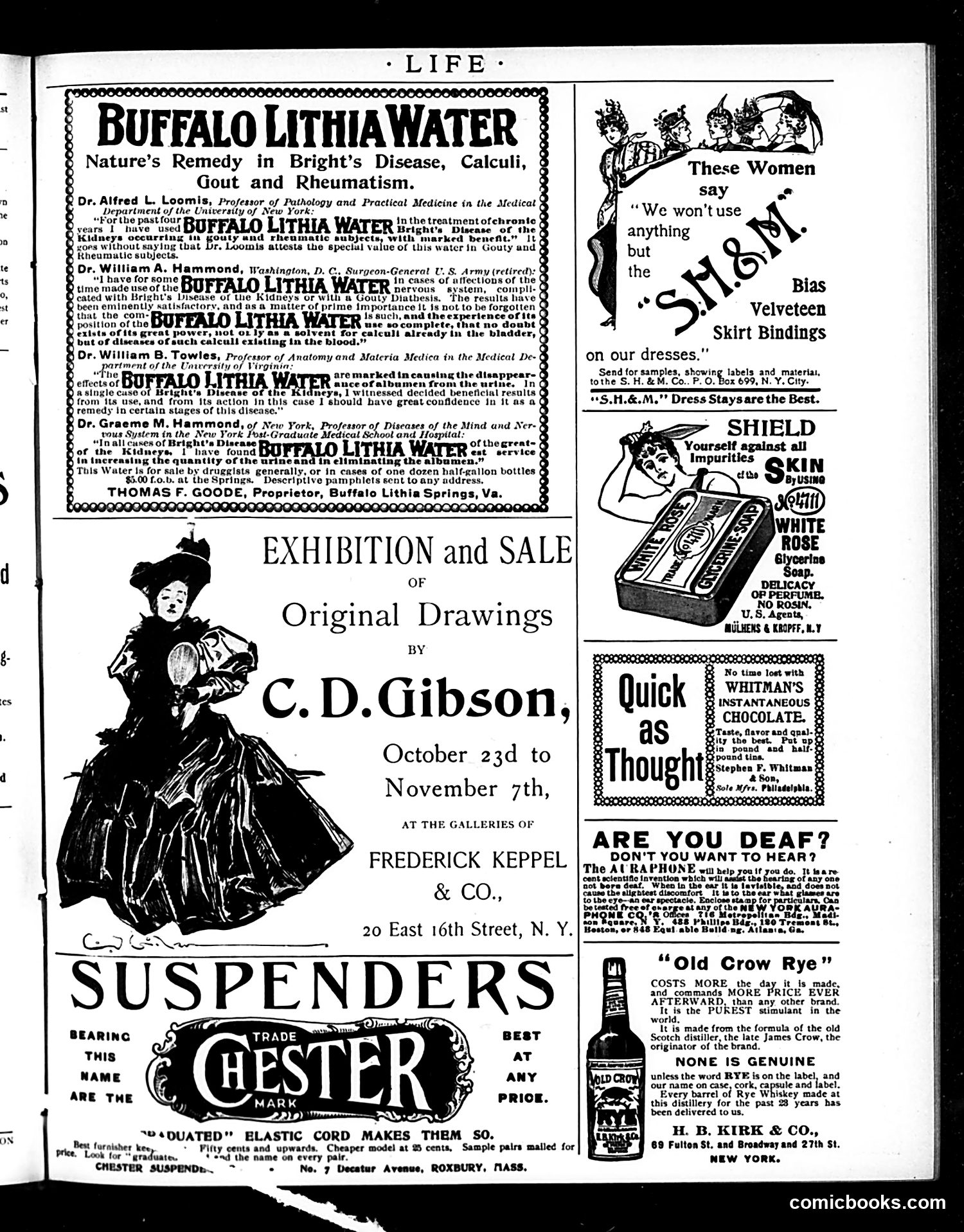 Life — October 31, 1895 — page 17 of 18