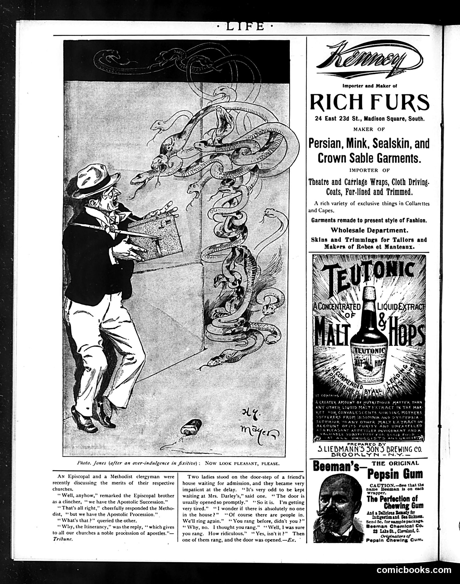 Life — November 7, 1895 — page 18 of 18
