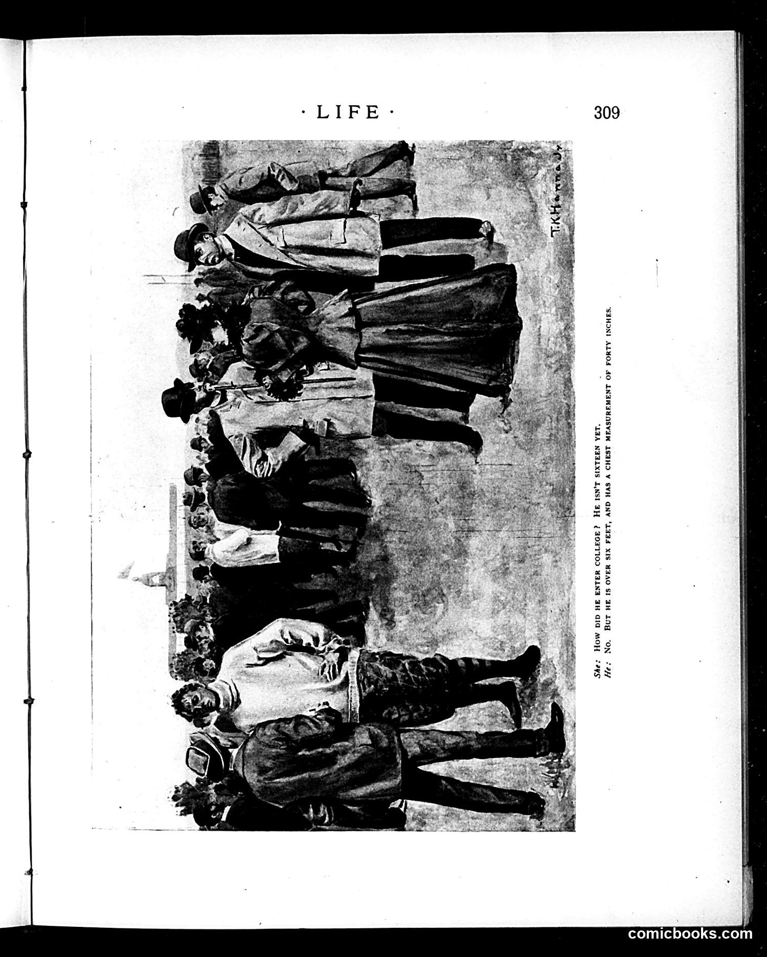 Life — November 14, 1895 — page 5 of 20