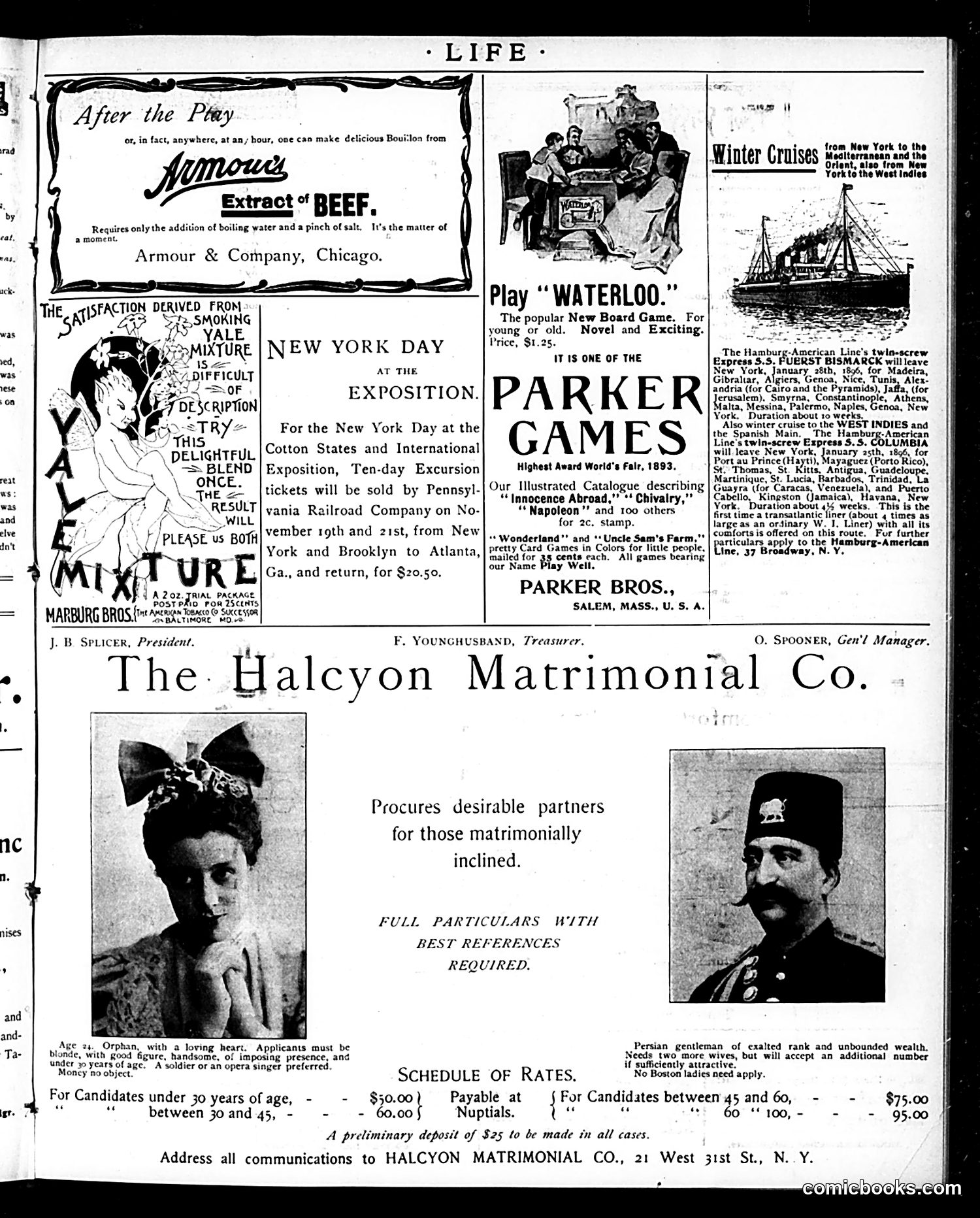Life — November 14, 1895 — page 15 of 20