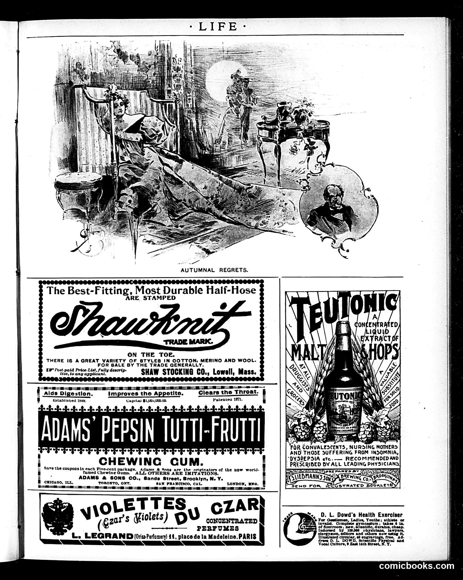 Life — November 14, 1895 — page 17 of 20