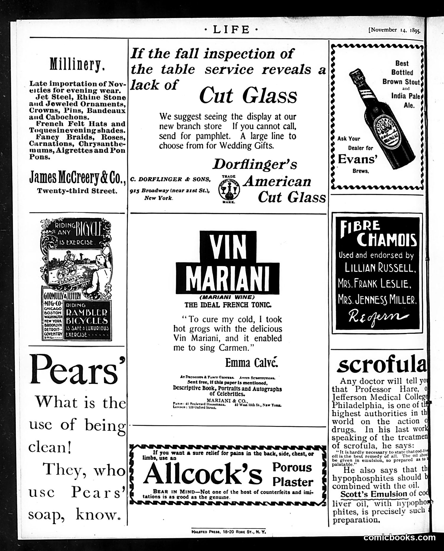 Life — November 14, 1895 — page 20 of 20