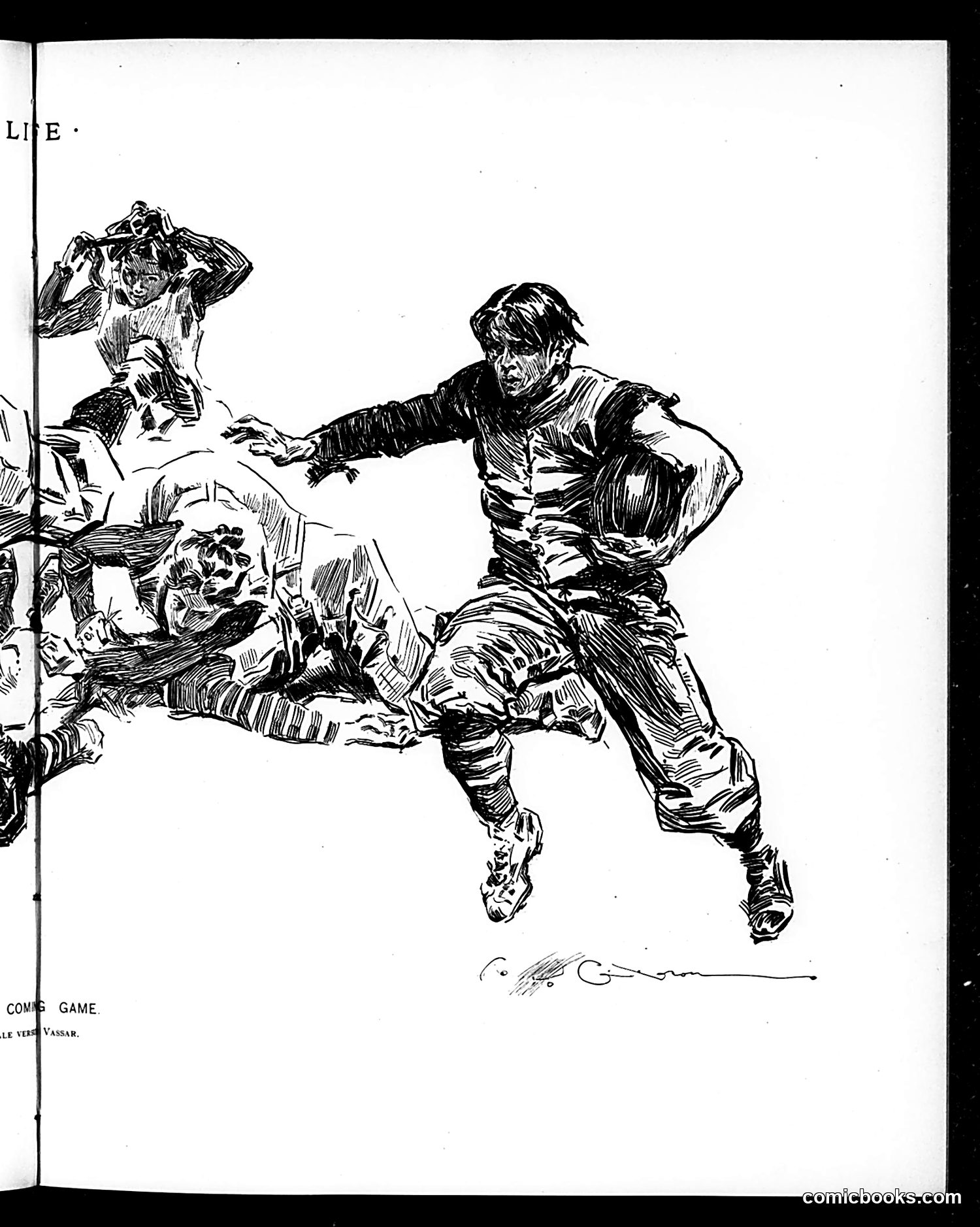 Life — November 21, 1895 — page 11 of 18