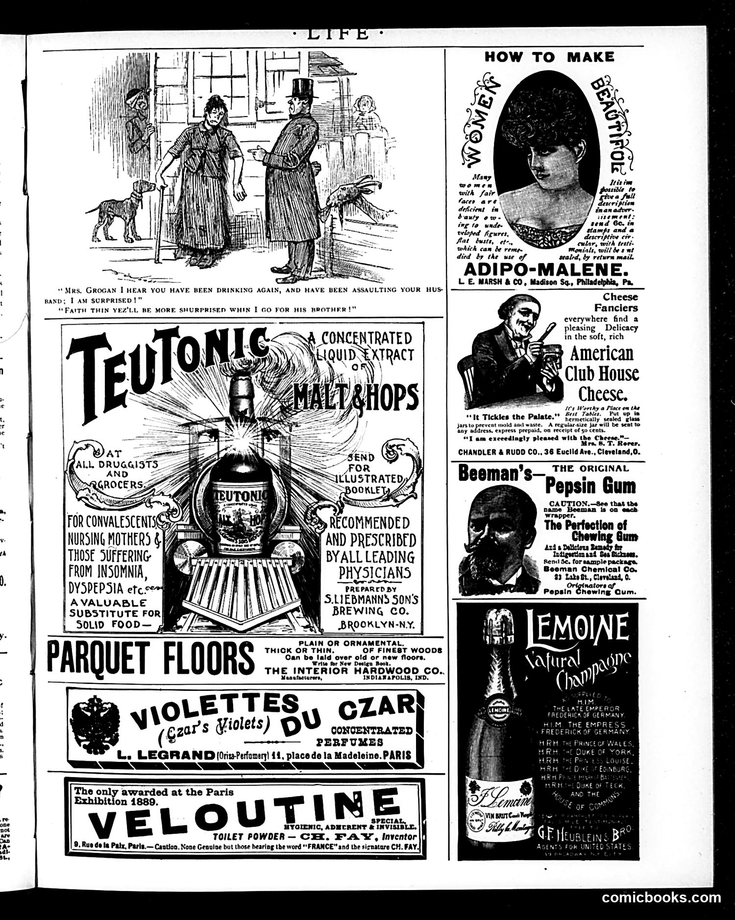 Life — November 21, 1895 — page 17 of 18