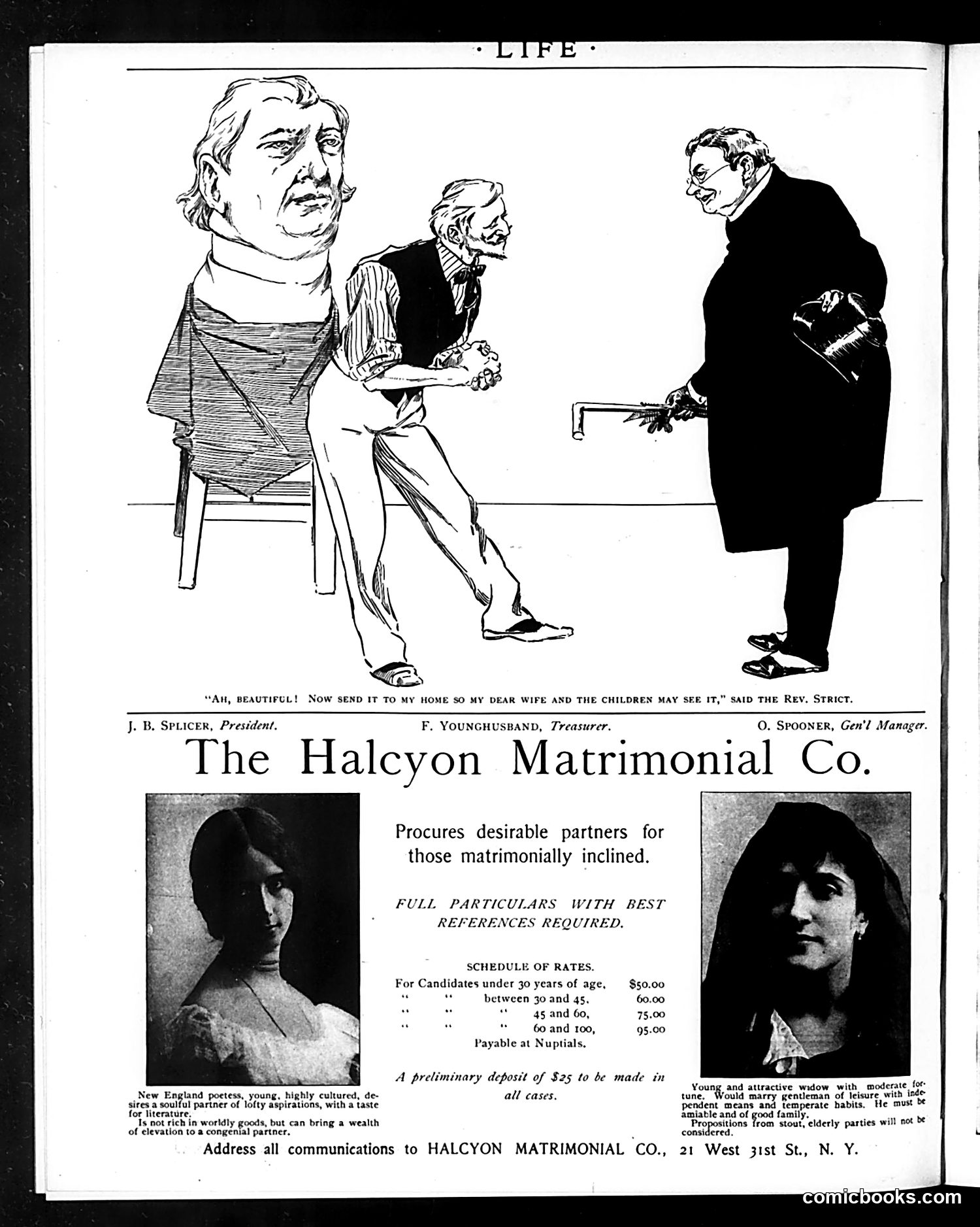 Life — November 21, 1895 — page 18 of 18