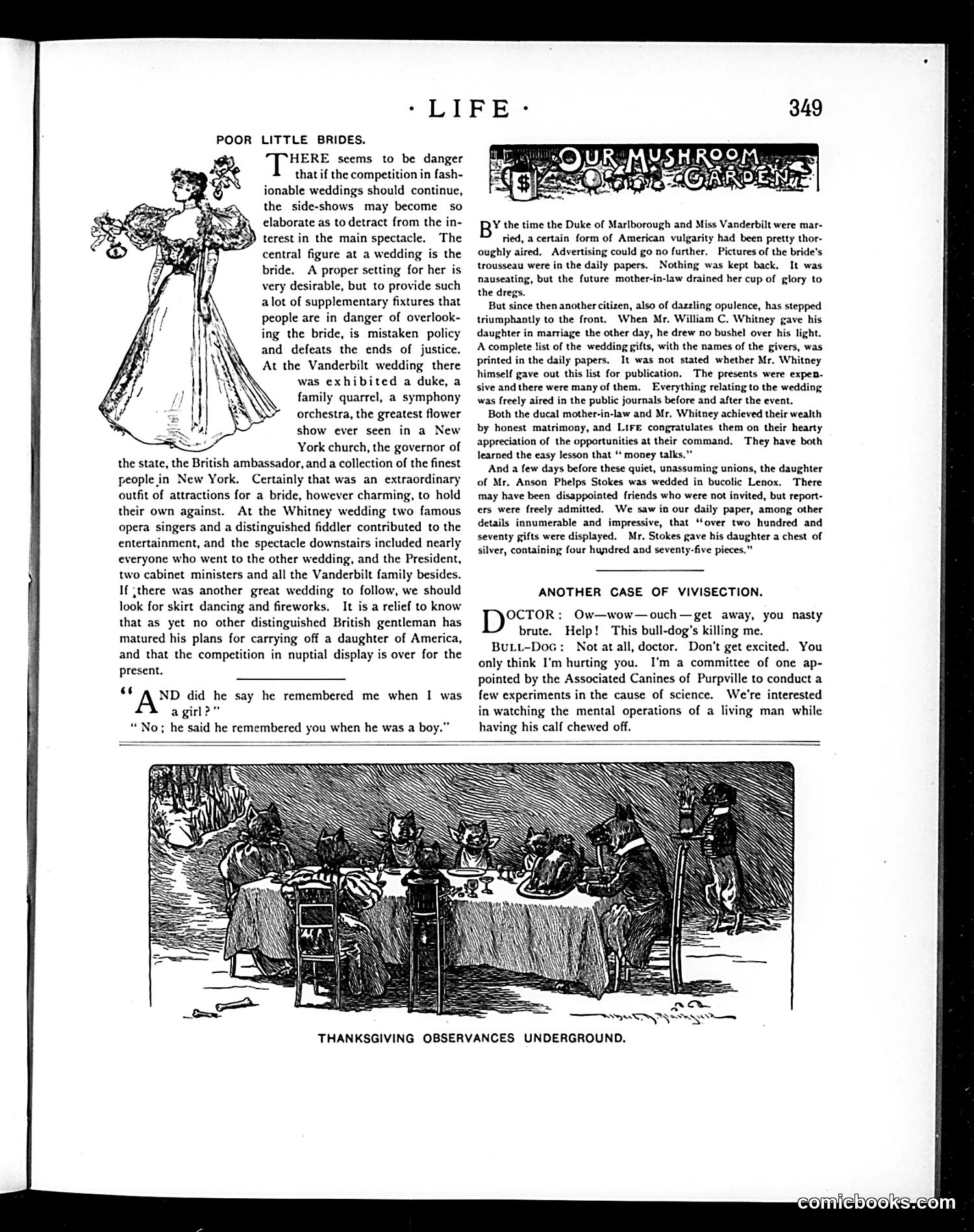 Life — November 28, 1895 — page 13 of 26