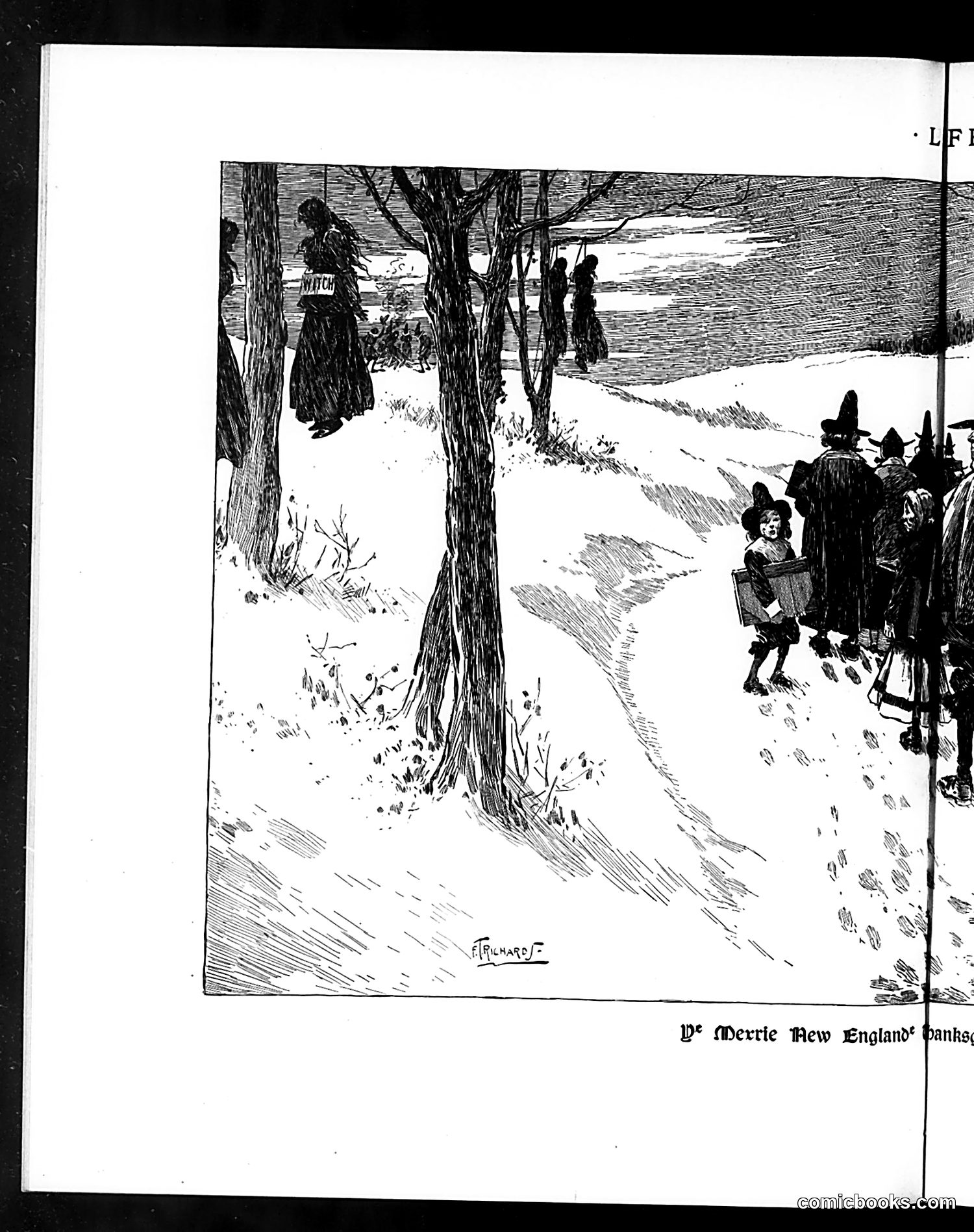 Life — November 28, 1895 — page 14 of 26