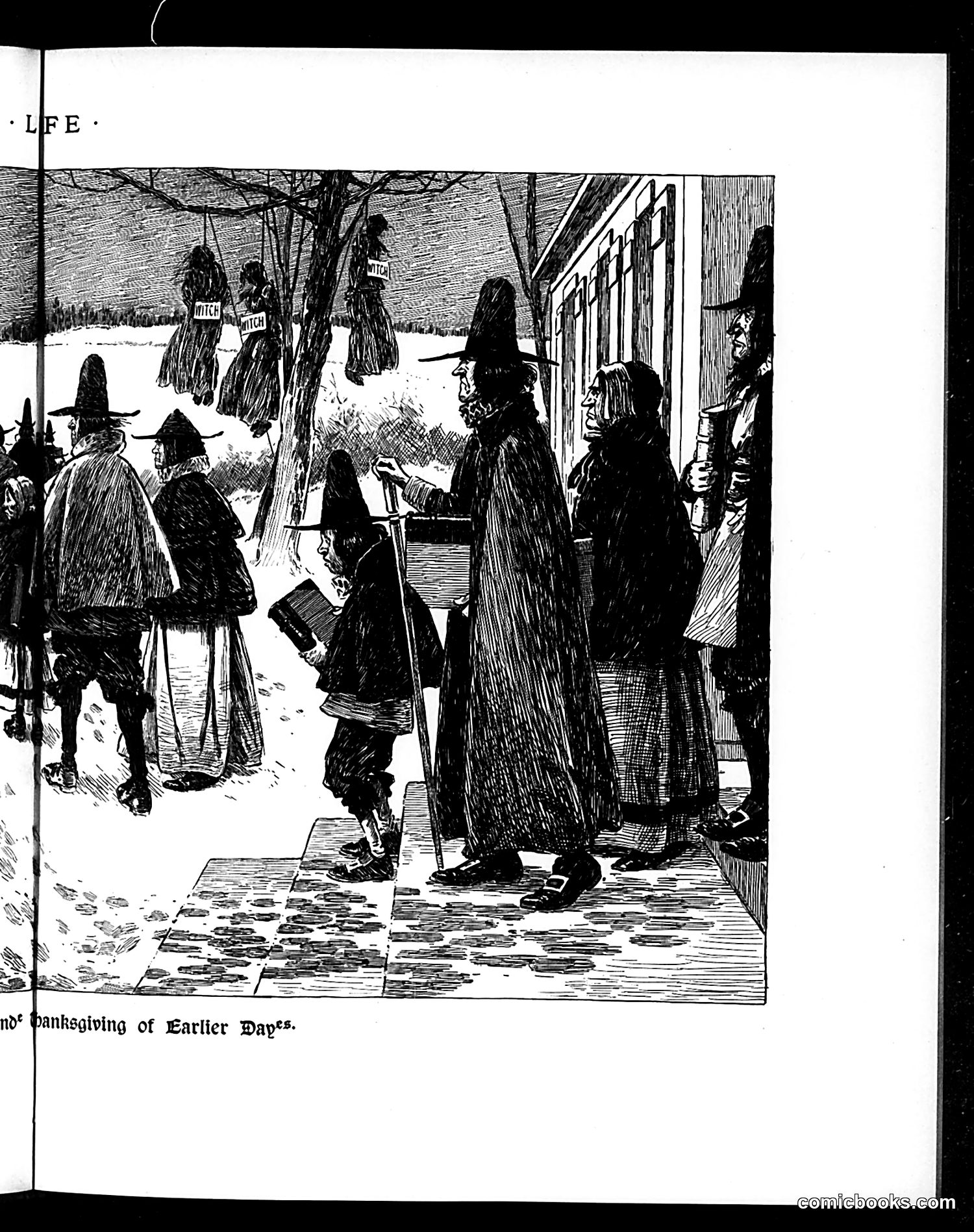 Life — November 28, 1895 — page 15 of 26